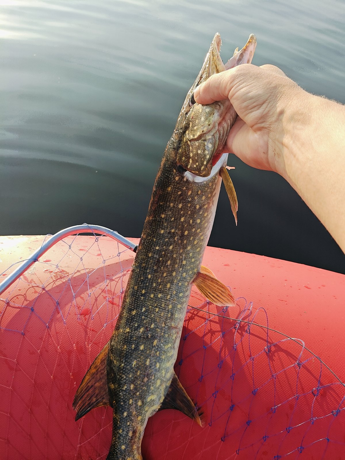 Afternoon pike fishing on calm Russian reservoir waters