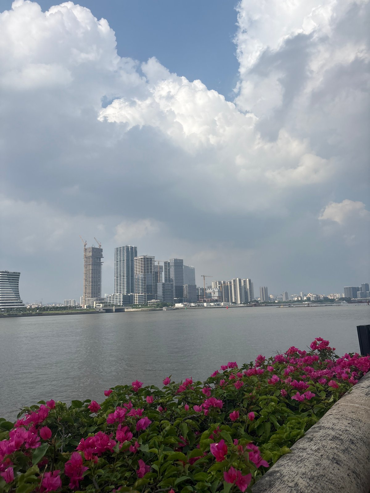 Tianhe District: riverside blooms and urban tennis courts