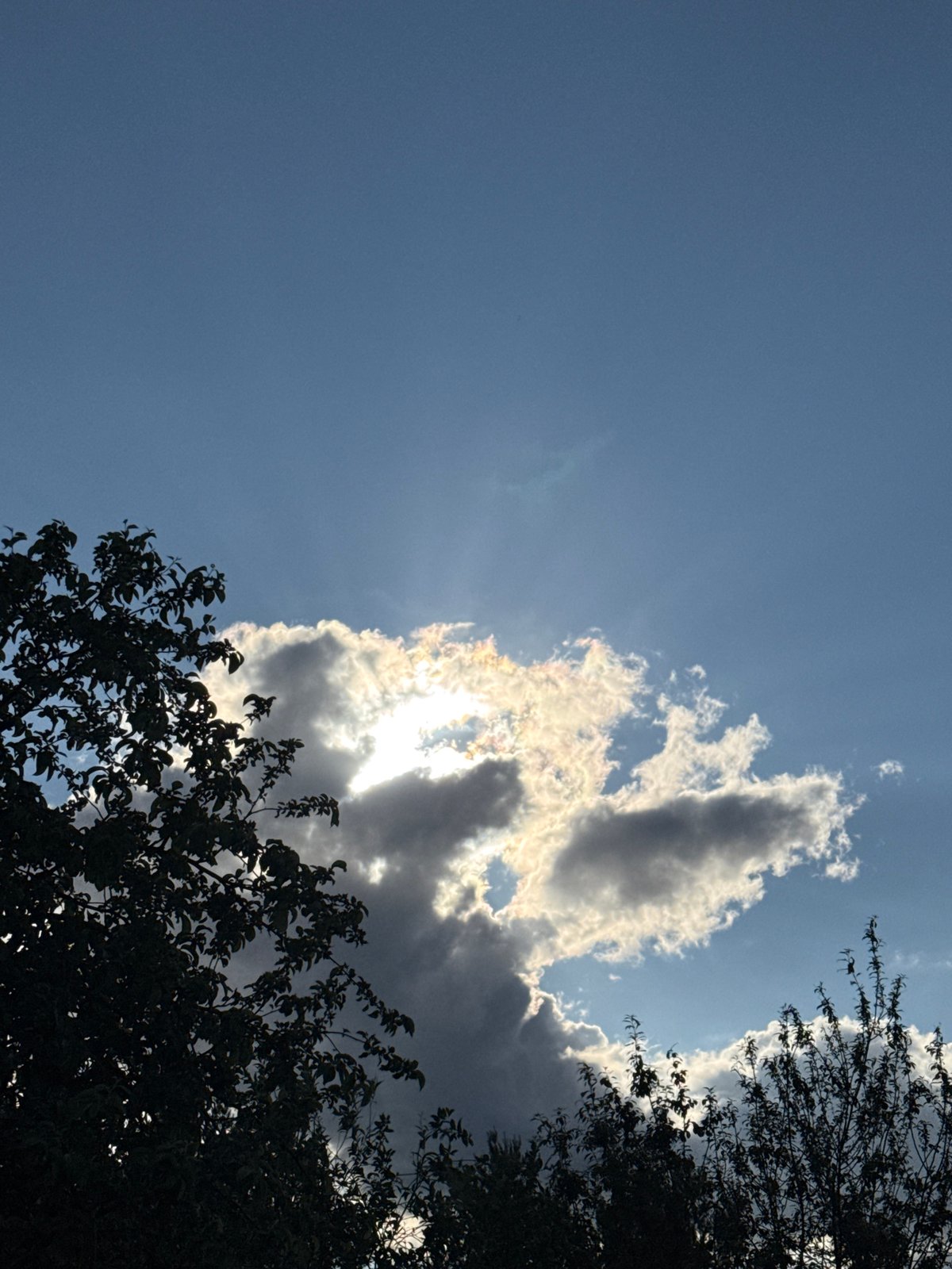 Clear skies with scattered clouds observed in Chaikovsky, Russia