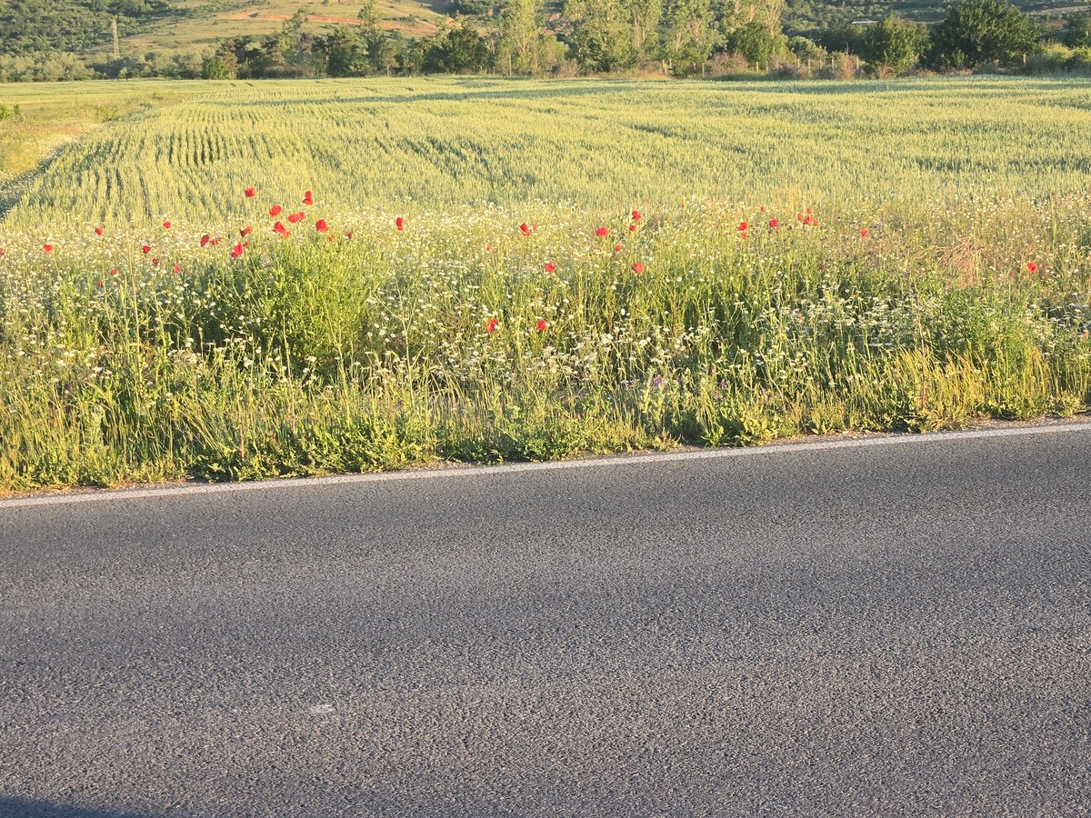 Rural roads, antique interiors, and travel moments documented