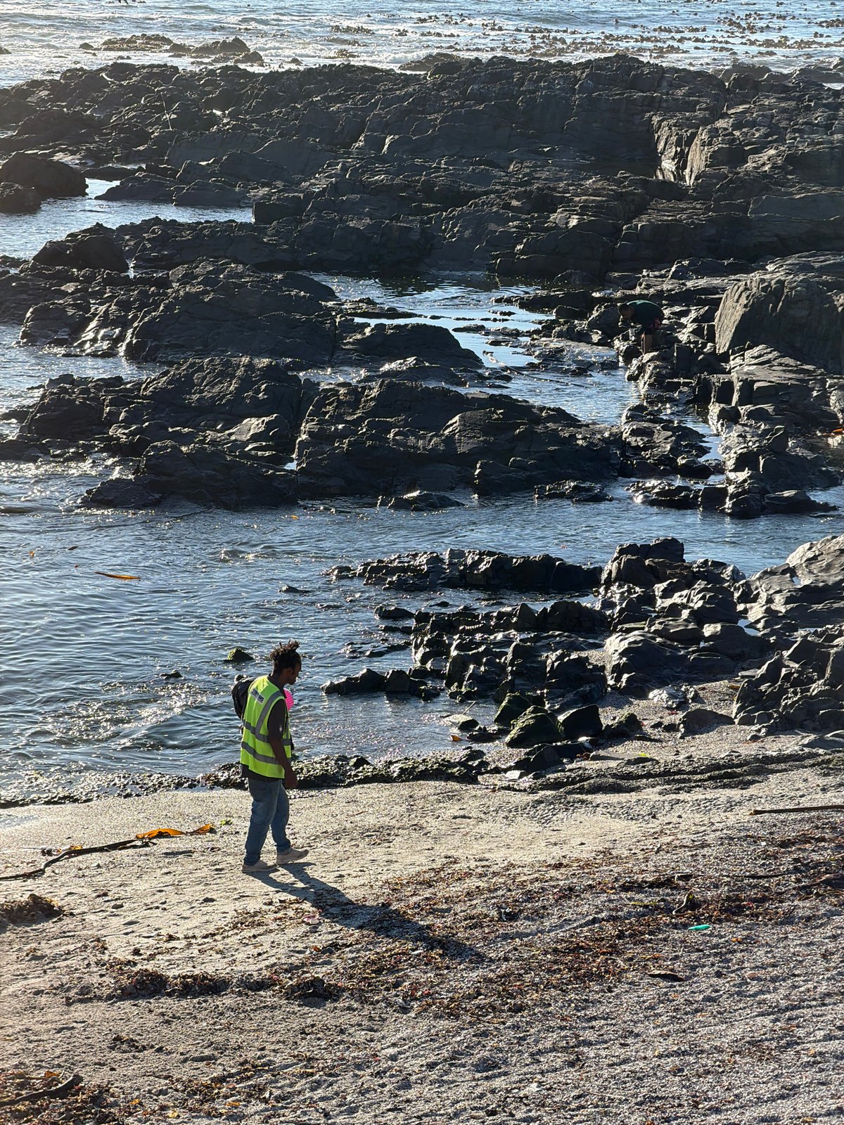 Sunday afternoon leisure activities captured across Cape Town coastal park