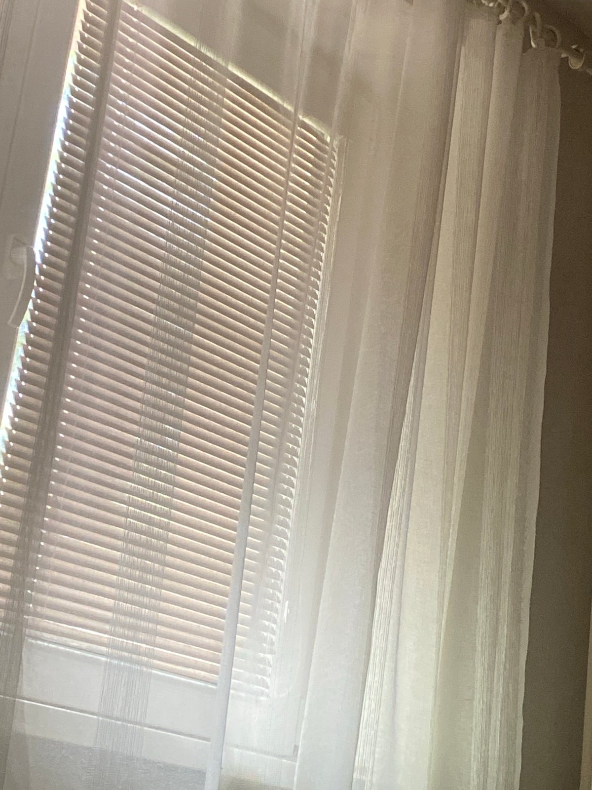 Morning light and indoor plants captured in domestic setting