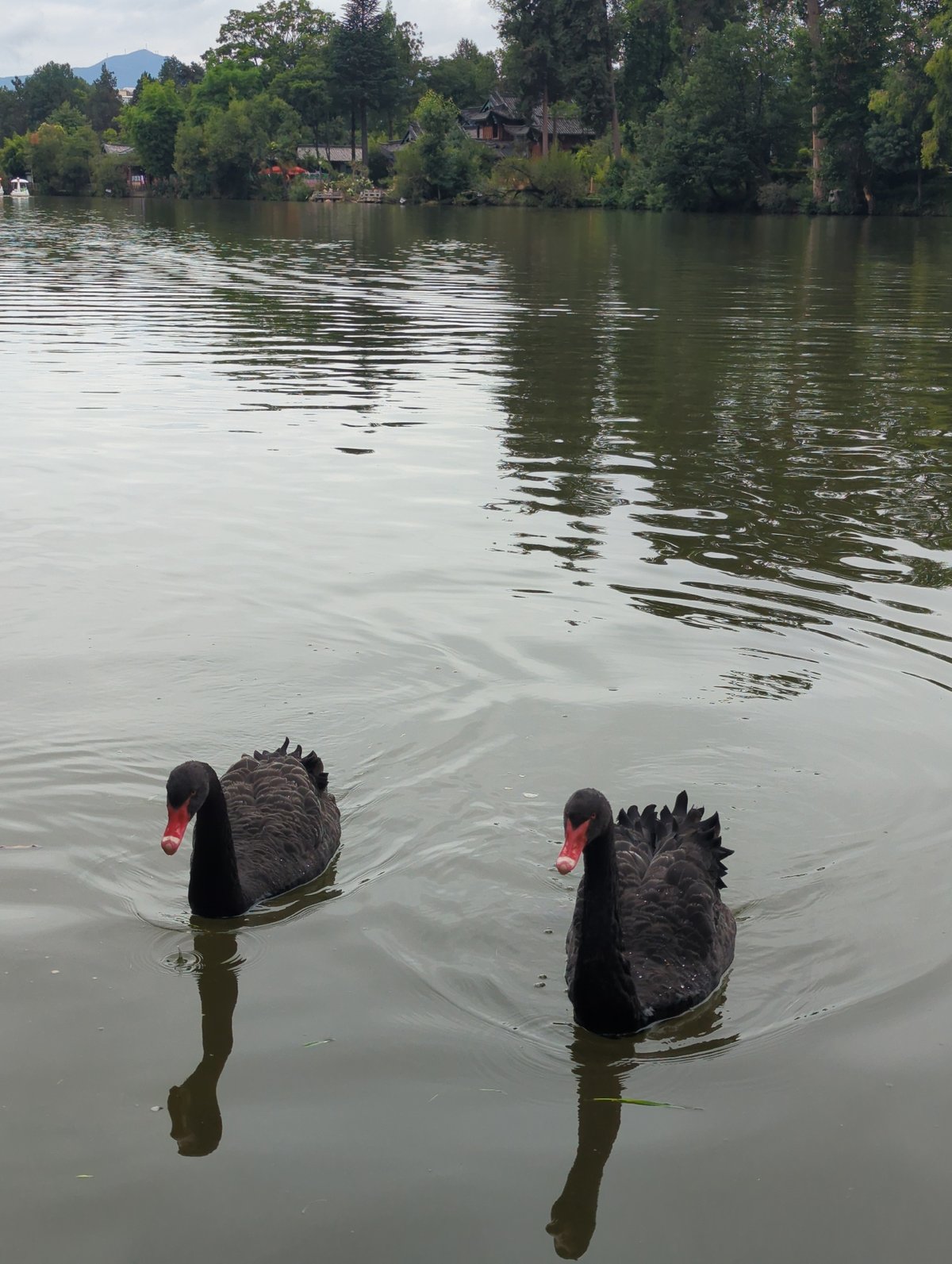 Exploring a ornate temple complex and lake in Gucheng District