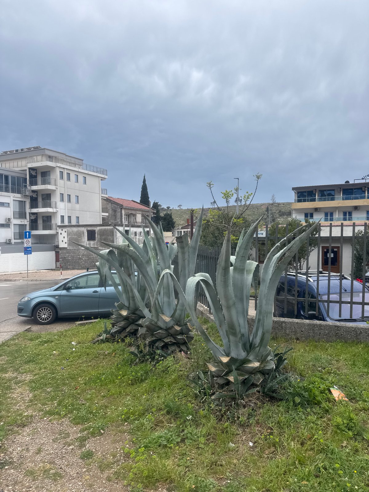 Street scenes documented in Sutomore, Montenegro