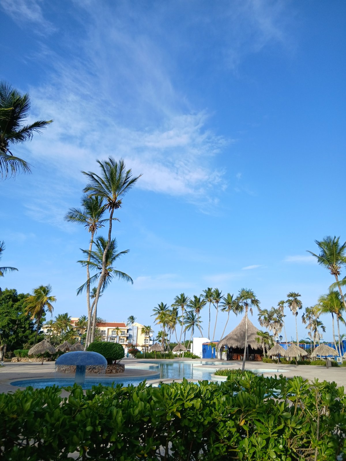 Resort grounds and beach palms at Playa El Agua, Venezuela