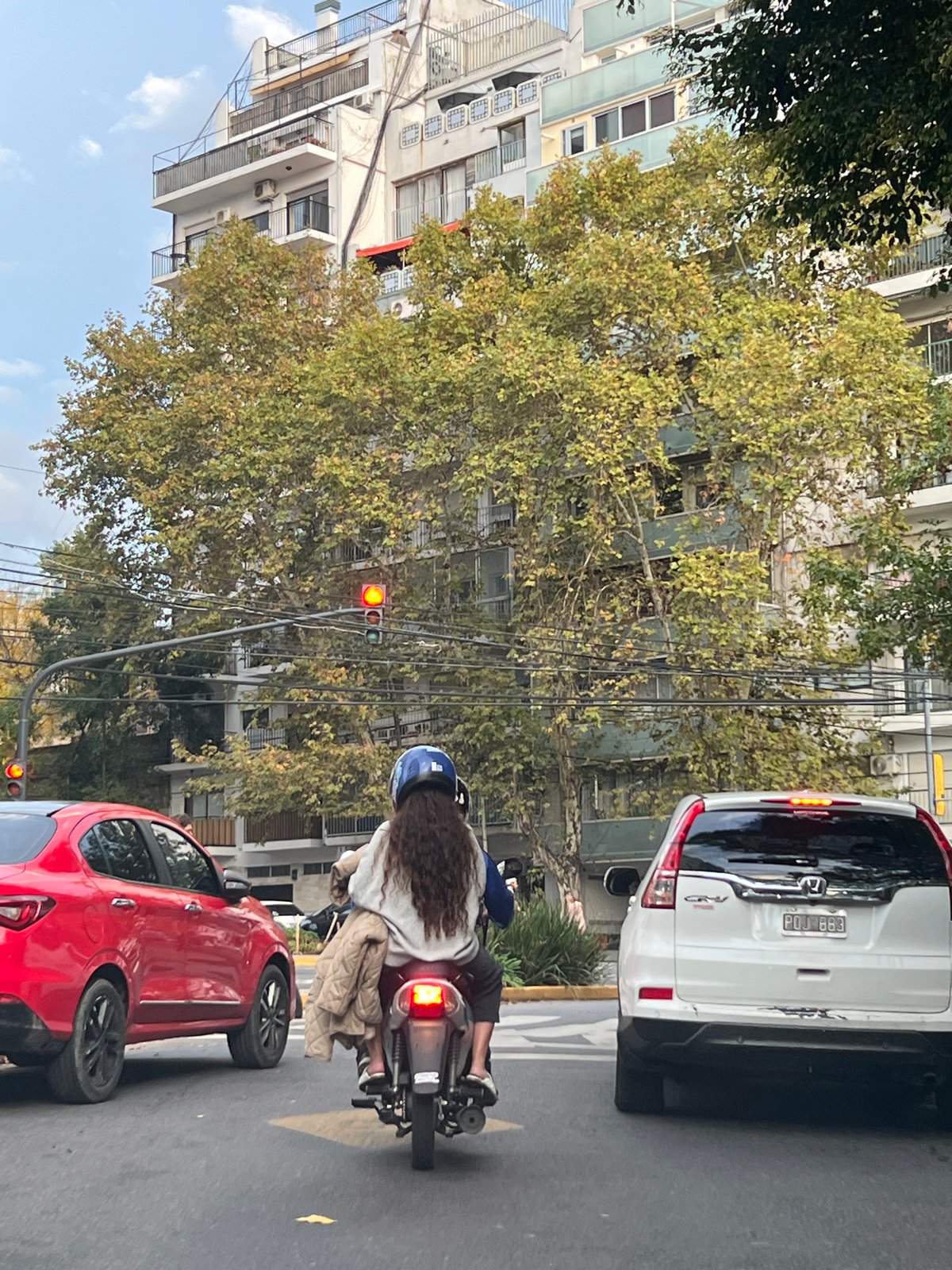 Evening traffic flows through Buenos Aires tree-lined avenue