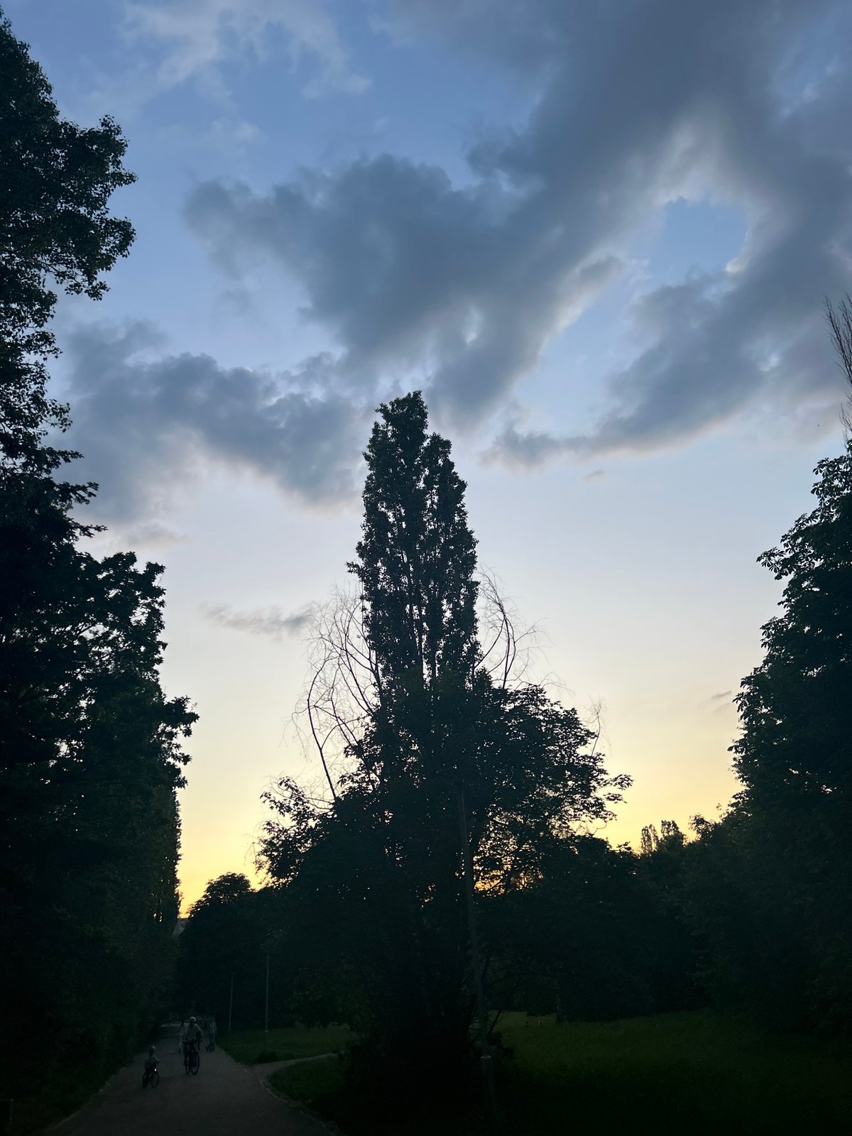 Afternoon scenes documented across Sofia during changing weather