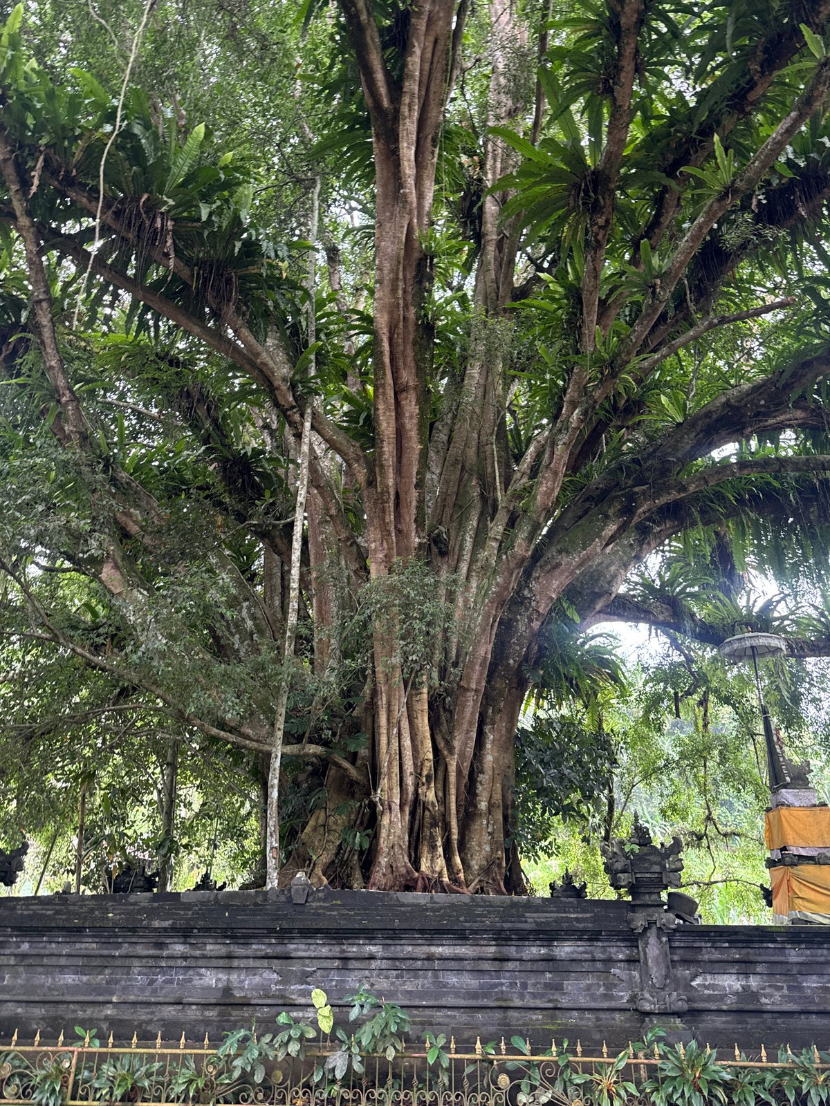 Tourists visit traditional Balinese temple grounds in Tampaksiring