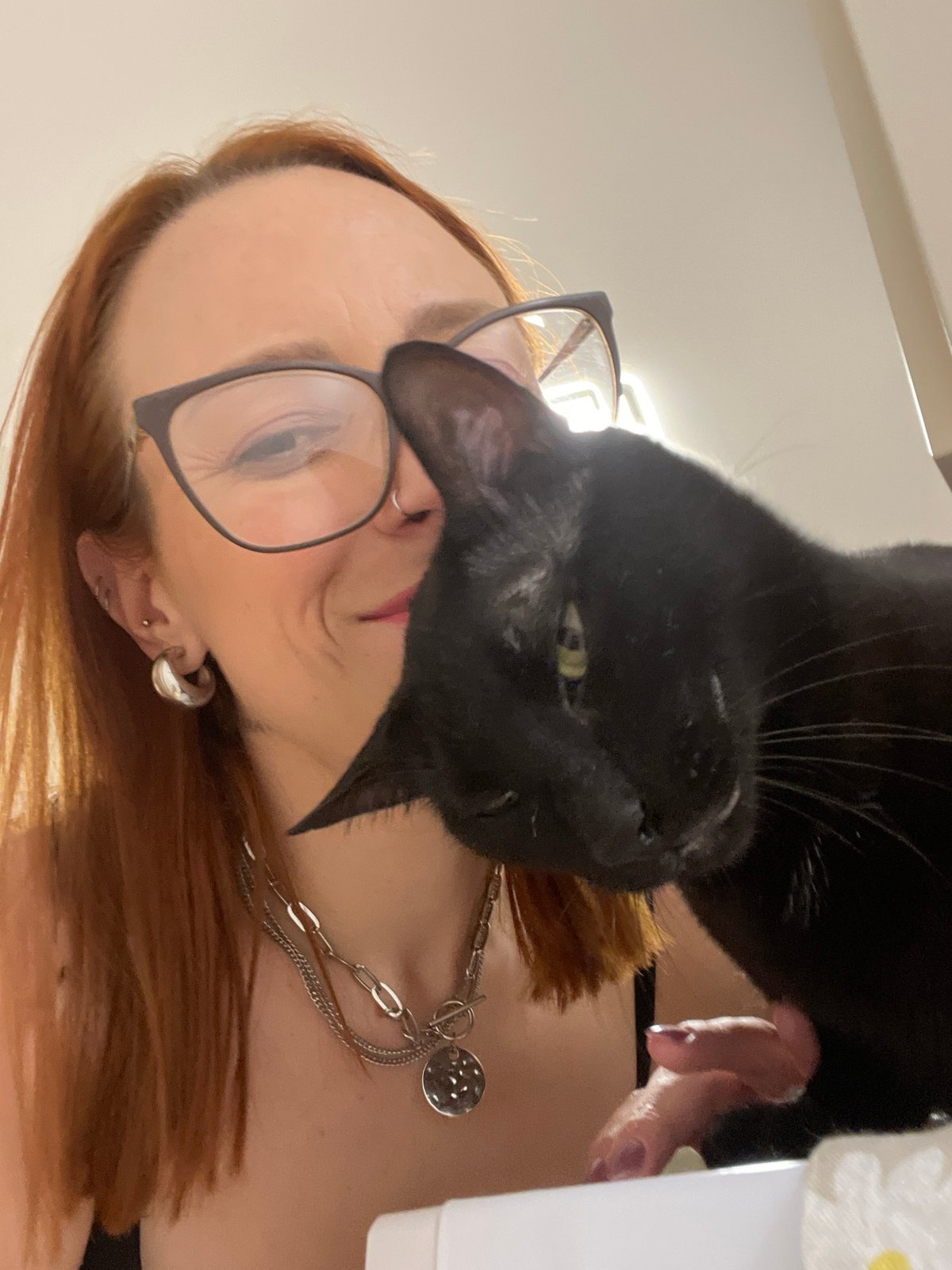 Two cats, one Barcelona apartment, one evening