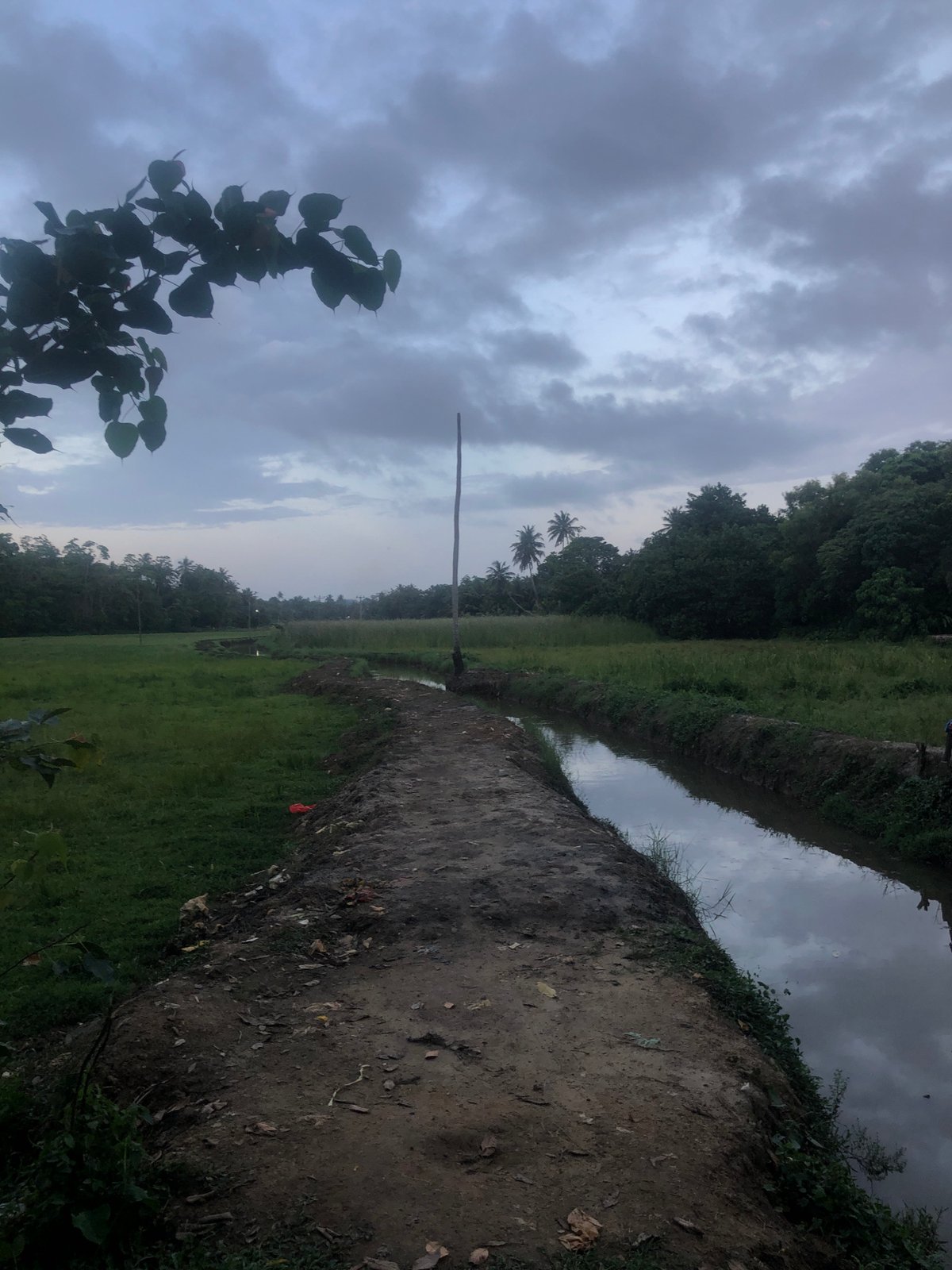 Rural Ahangama scenes captured: pathway, door amid tropical foliage