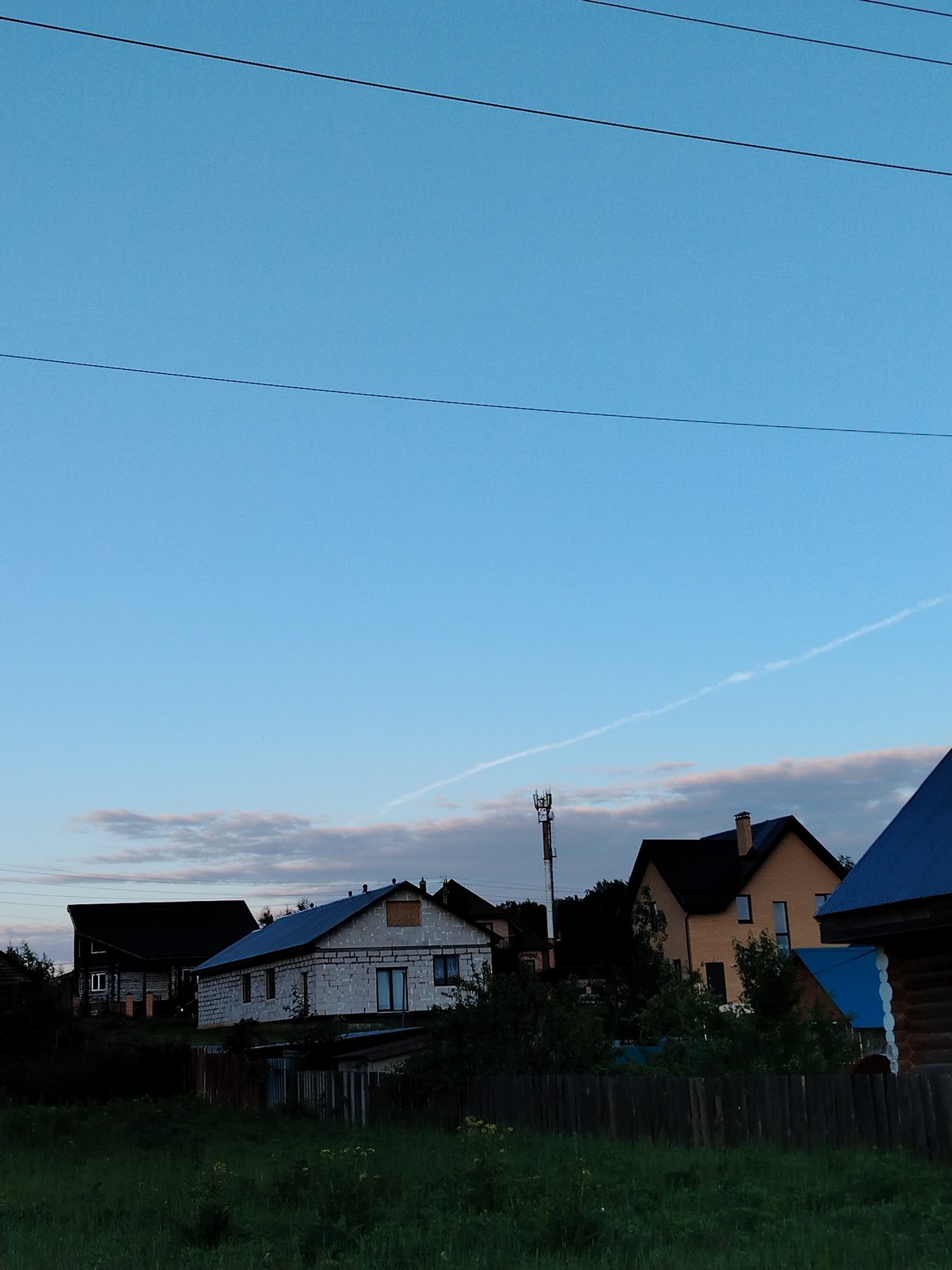 Evening stroll documented through selfies and nature photos in Noviy