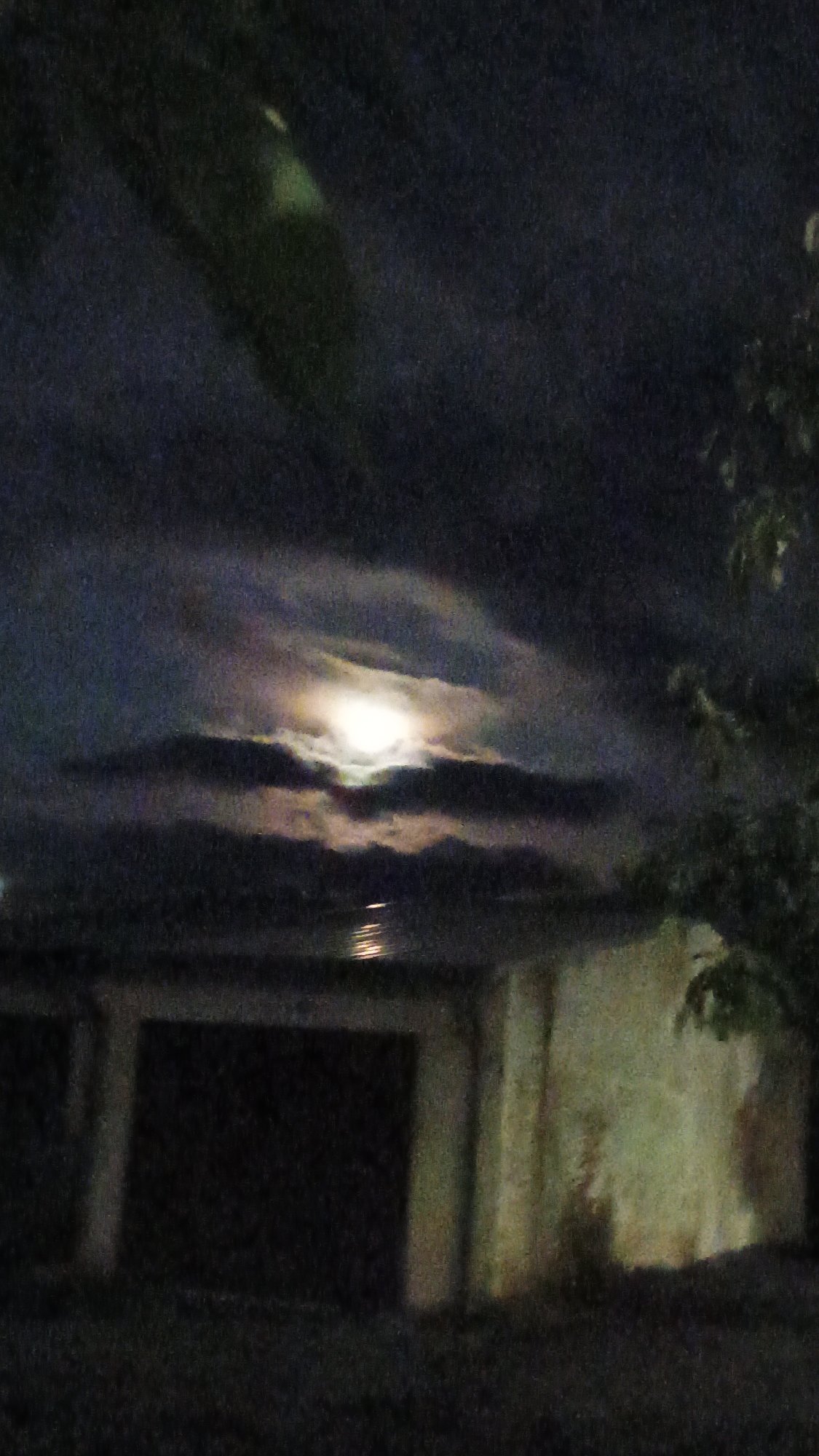 Night walk through Sokolov under a bright full moon