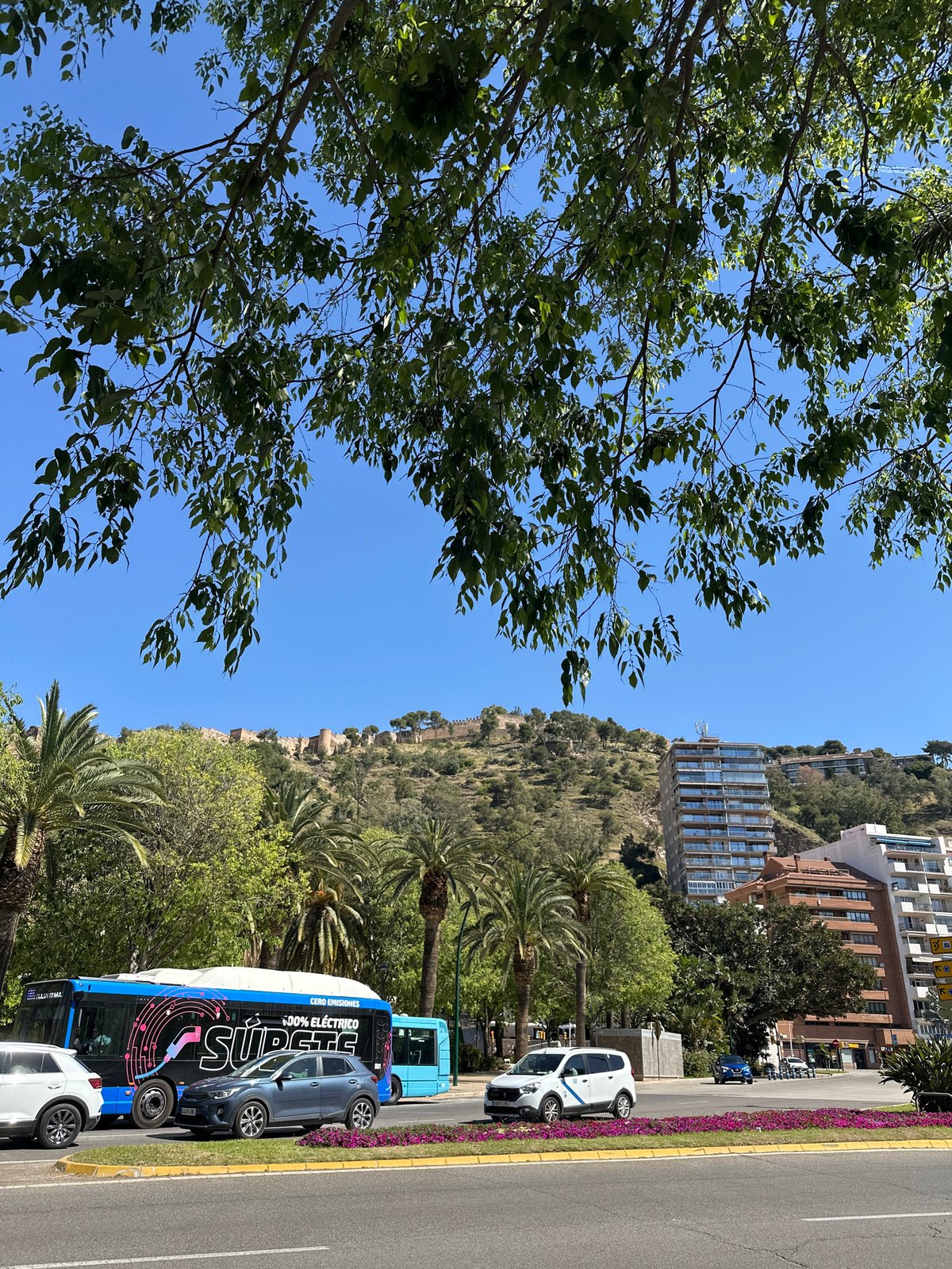 Morning documentation of Málaga landmarks and streetscapes under clear skies