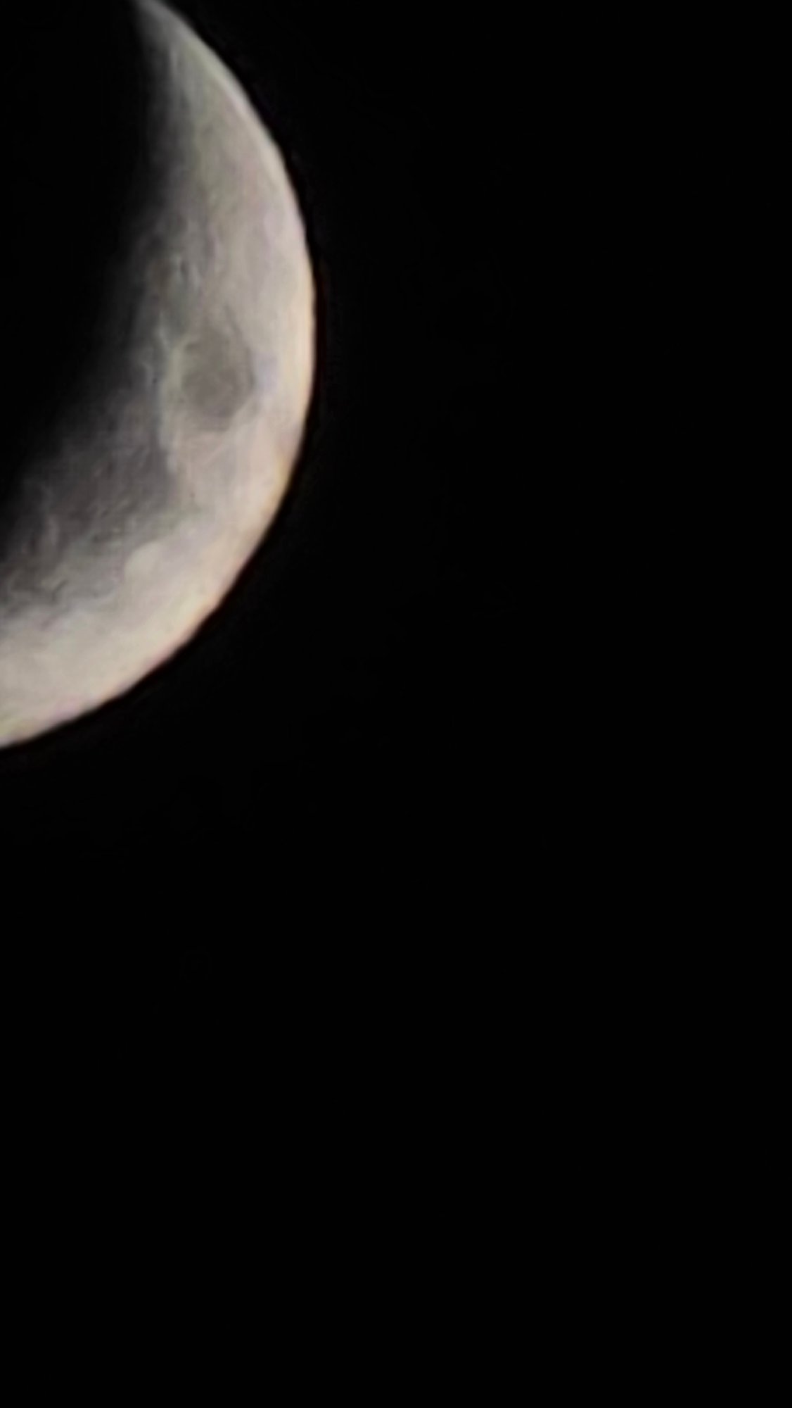 Crescent moon photography session in Blagoevgrad, with a dog cameo
