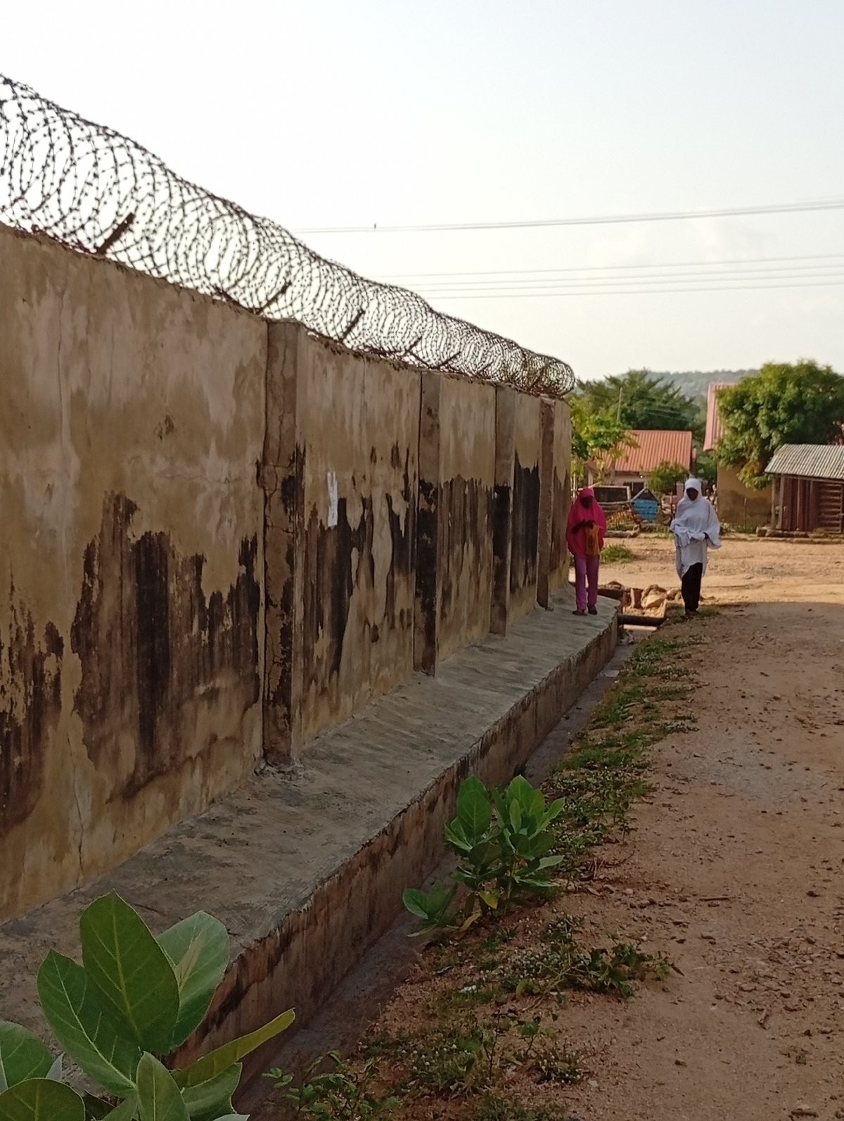 Daily life scenes documented across Adankolo, Nigeria neighborhood