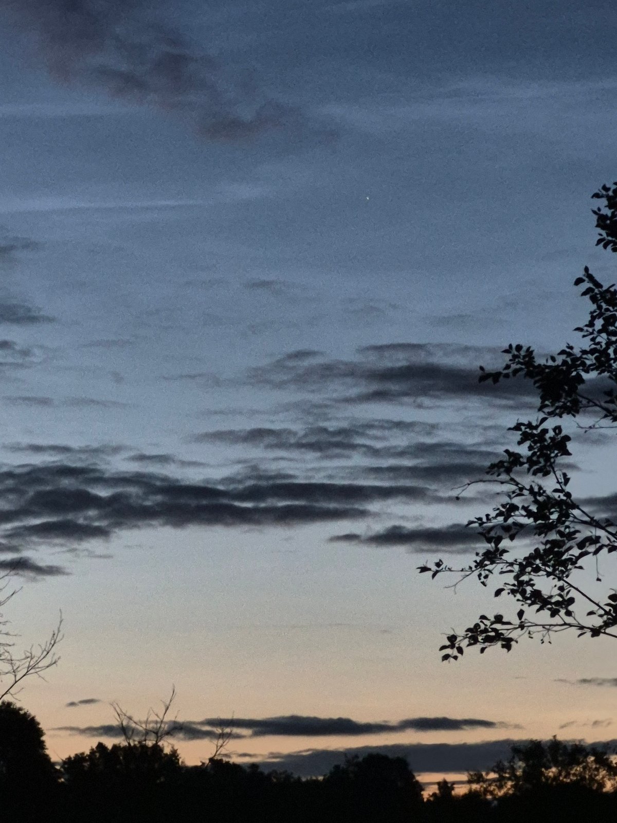 Summer dusk settles over the forests of Sooblase, Estonia
