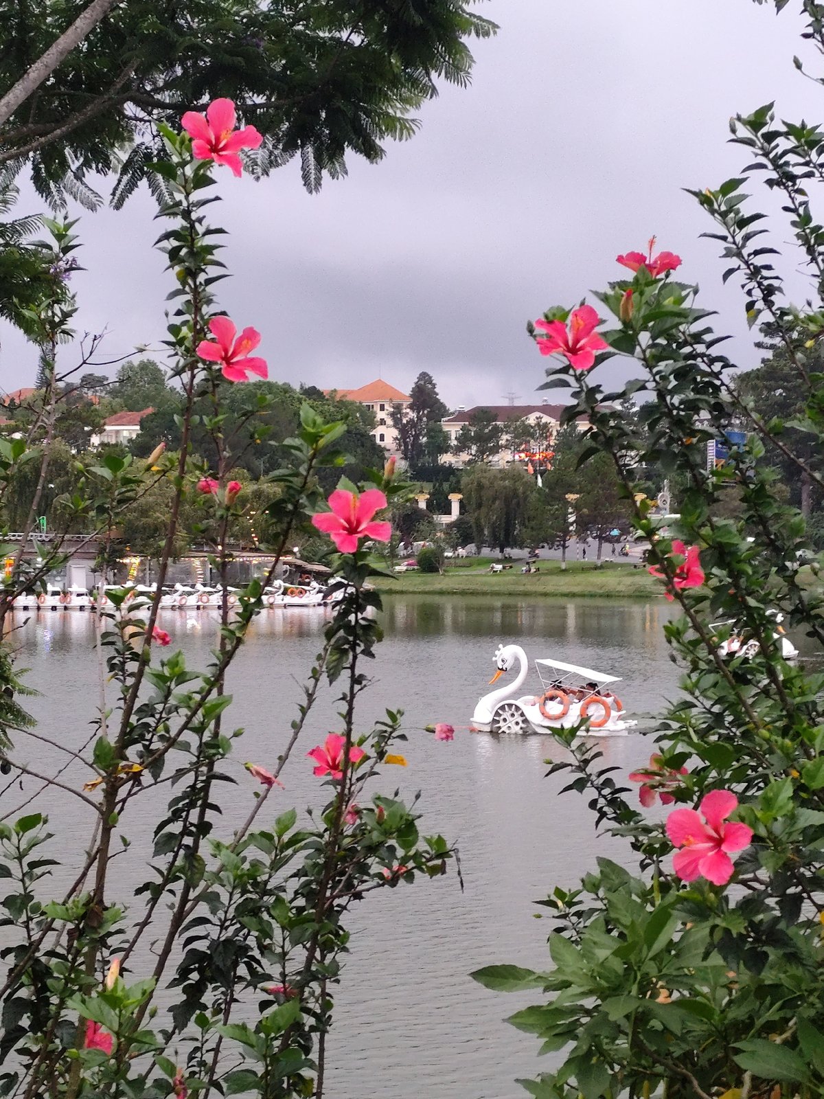 Swan boats dot overcast lake in Da Lat Vietnam