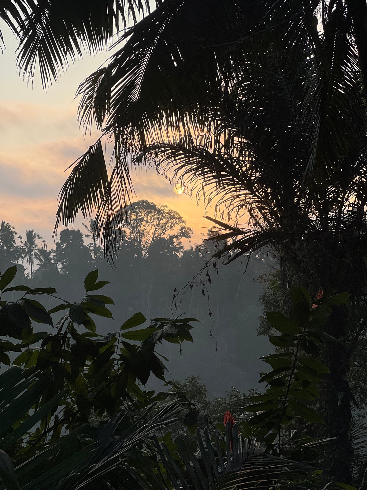 Quiet road and misty forest edges in Rendang's tropical highlands