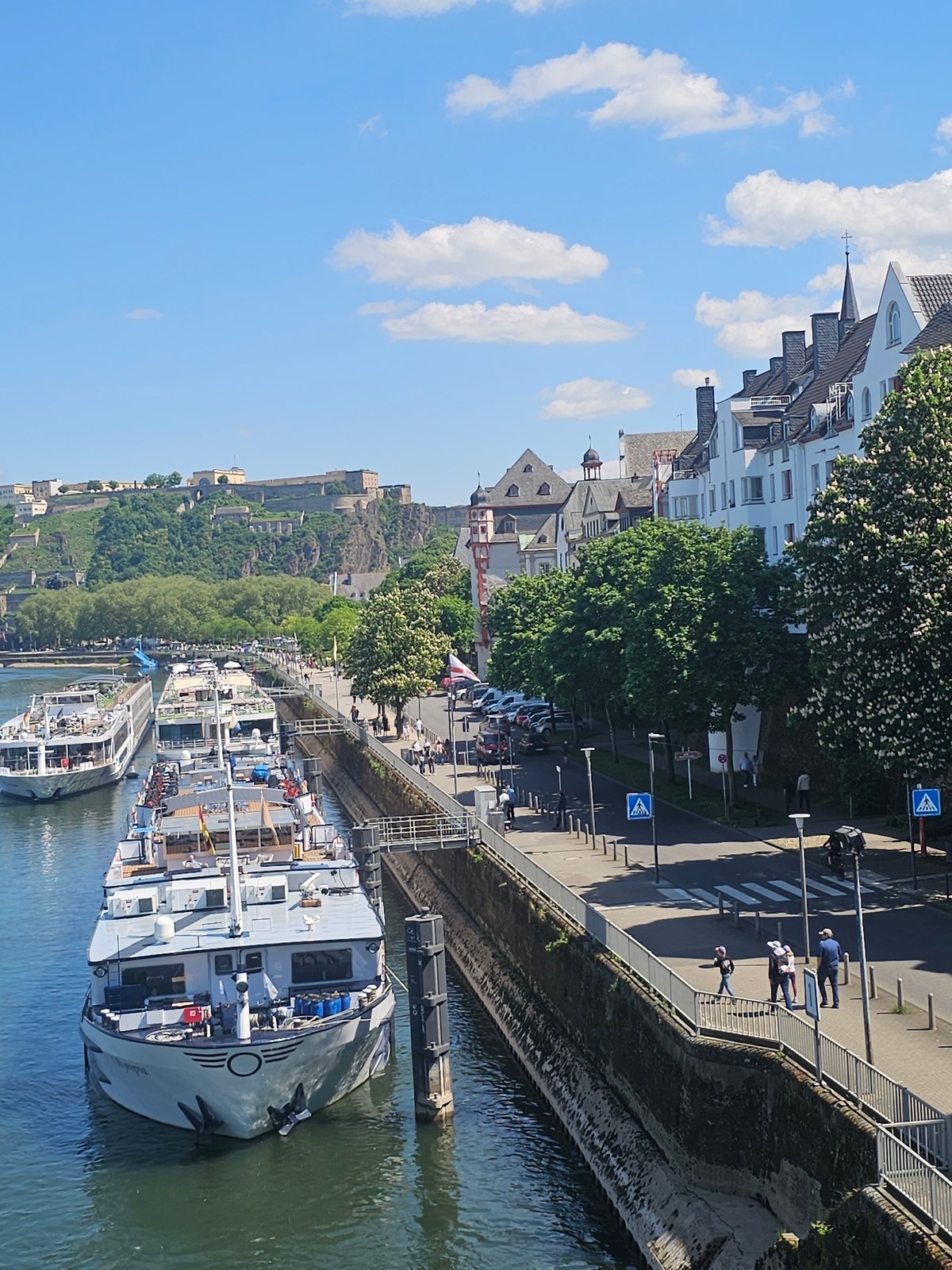 Tourist boats dock along Rhine River in Koblenz
