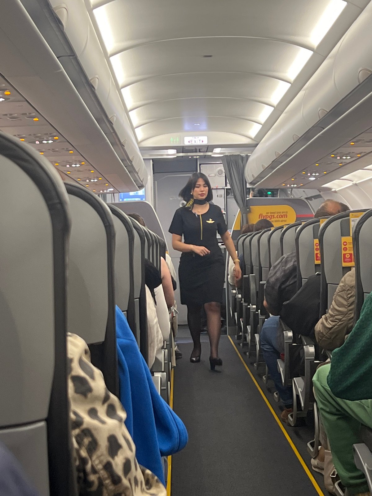 Flight attendant spotted in economy cabin, Saint Petersburg