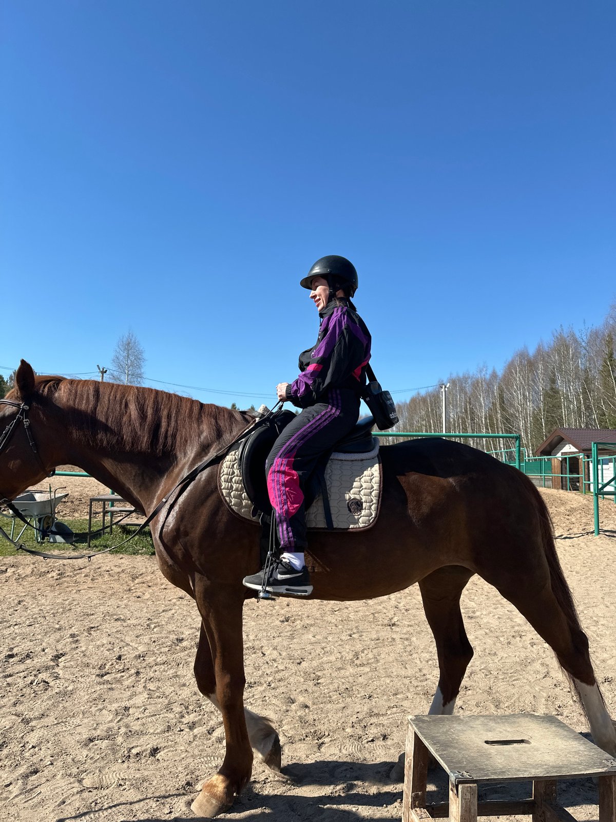 Equestrian training session documented in Russian village arena