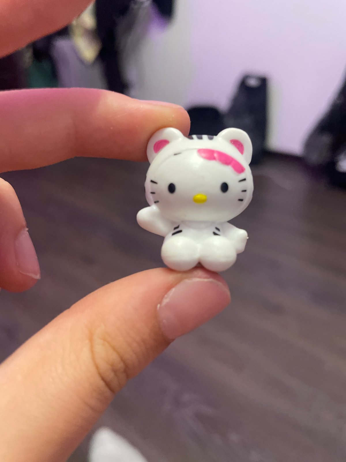 Person Documents Collection of Snacks and Small Objects in Russia