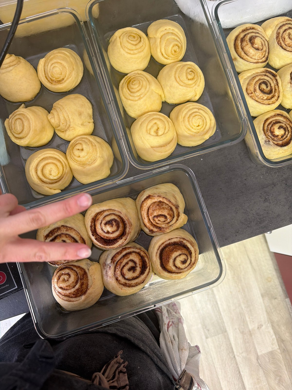 Cinnamon rolls captured at various baking stages in Meisenheim
