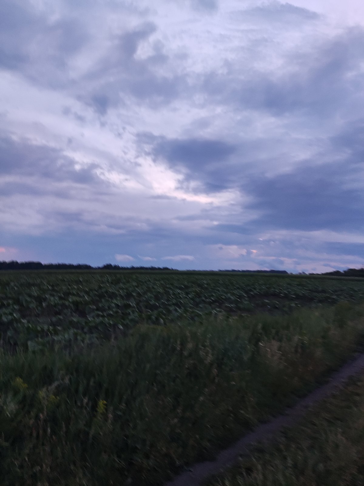 Evening countryside documentation captures landscapes, portraits in Ustyvytsia, Ukraine