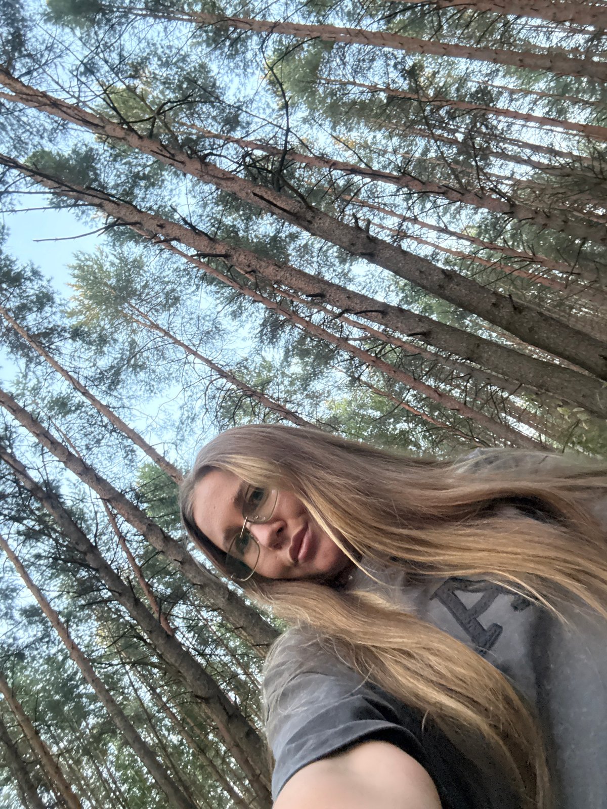 Forest afternoon to railroad sunset in Chaikovsky, Russia