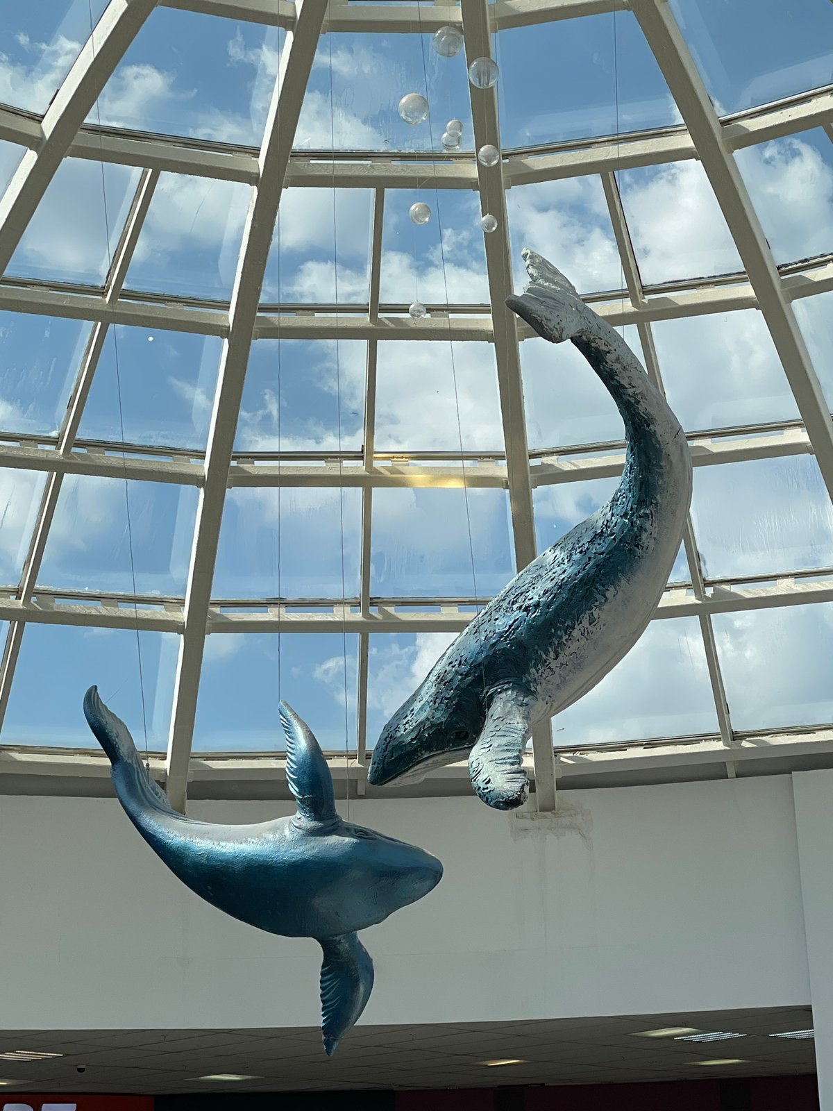 Whale sculptures displayed in glass-ceiling interior, Izhevsk