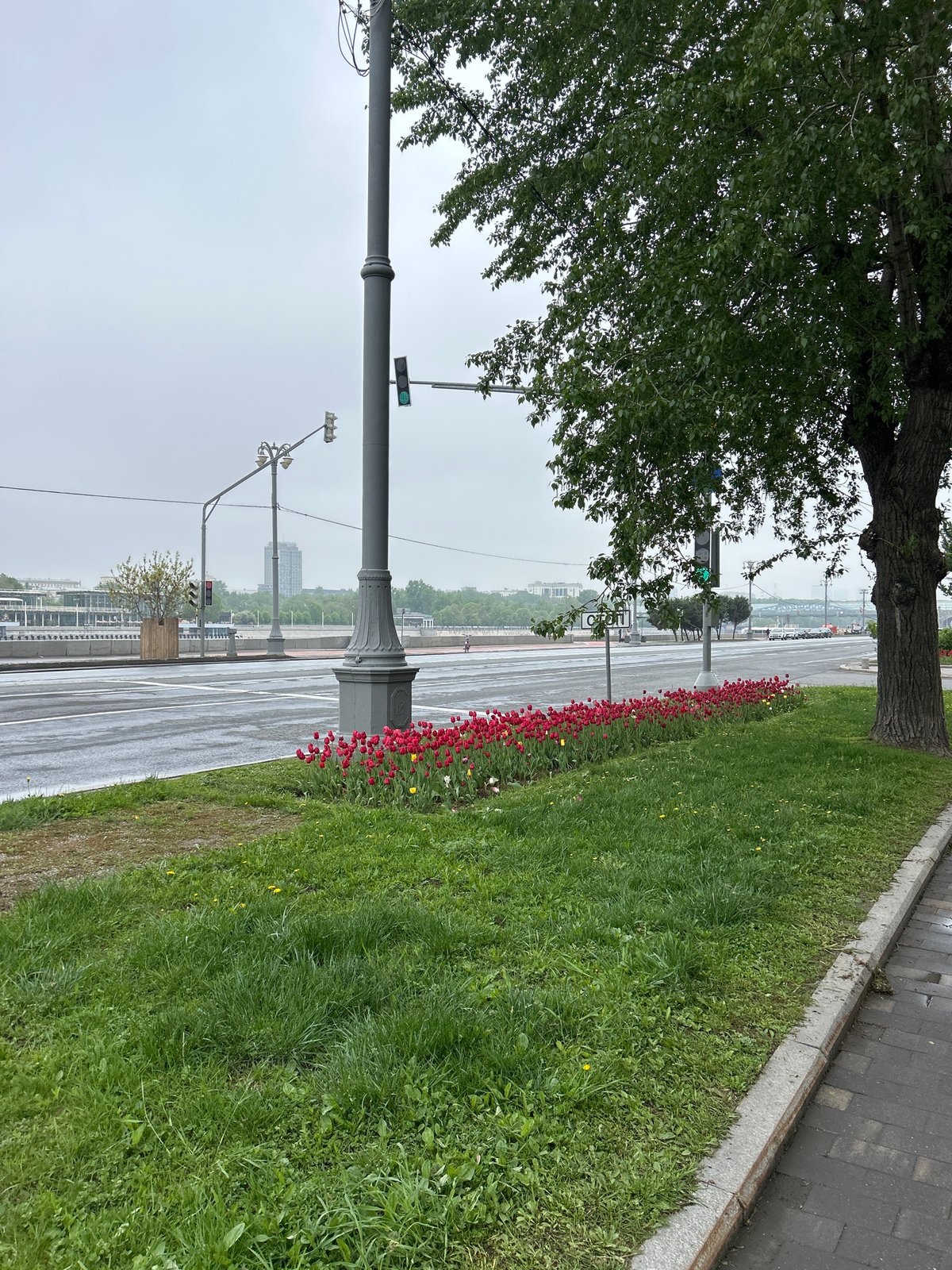 Moscow street walk captures rainy spring morning scenes
