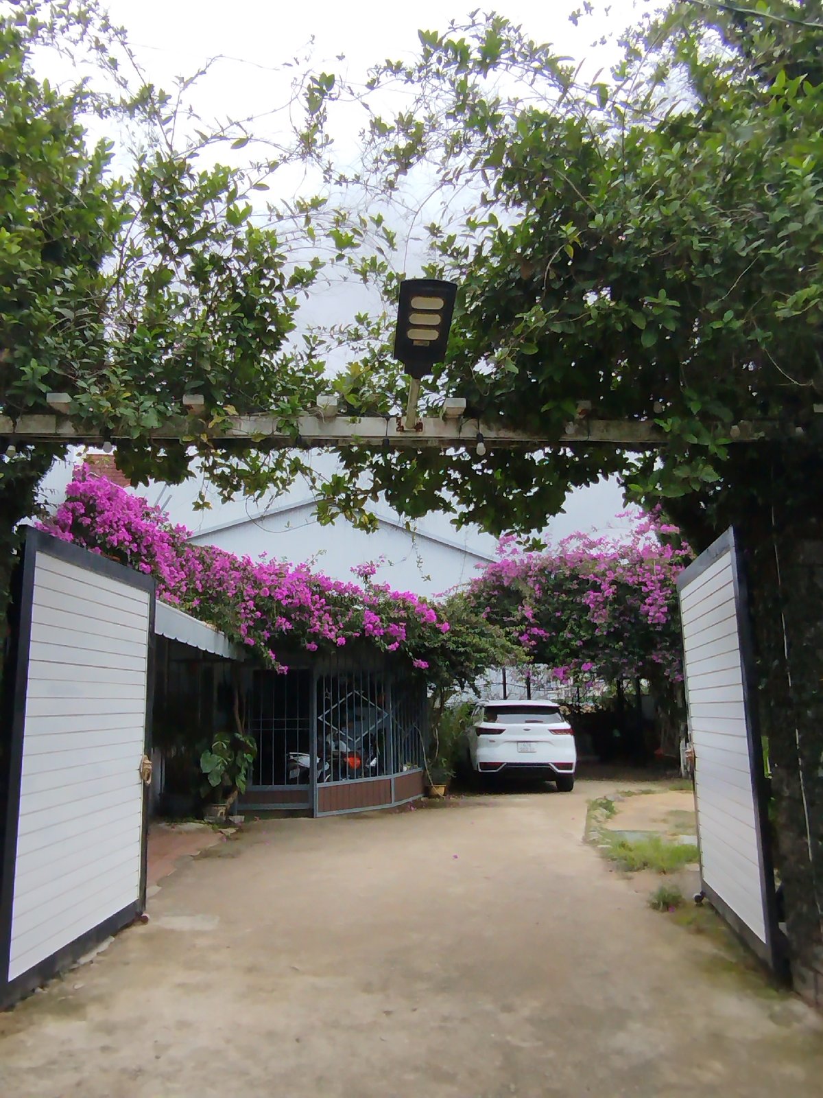 Overcast morning documented in Da Lat residential neighborhoods