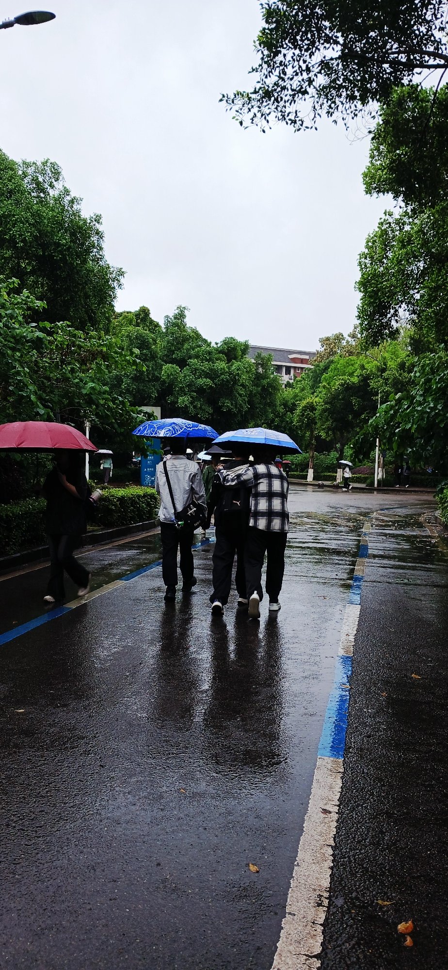Rainy morning walk through Chongqing High-tech Zone ends at restaurant