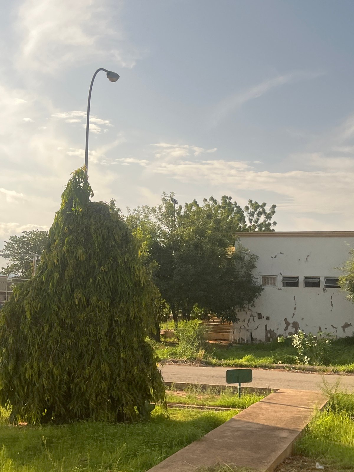 Daily life documented across Jalingo, Nigeria during sunny afternoon