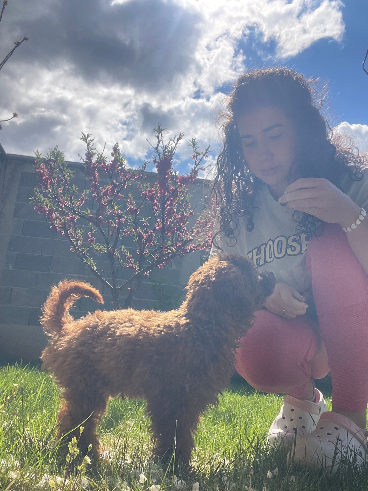 Woman enjoys morning playtime with poodle puppy in Sofia