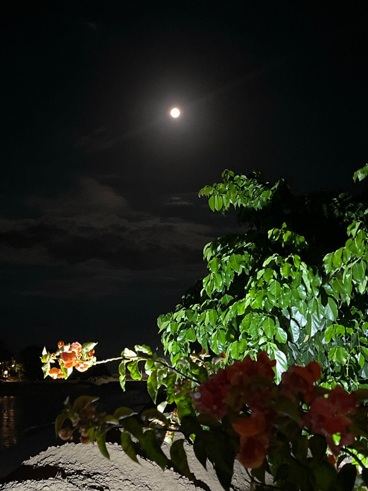 Moonlit evening captured in Kuta Selatan coastal scenes