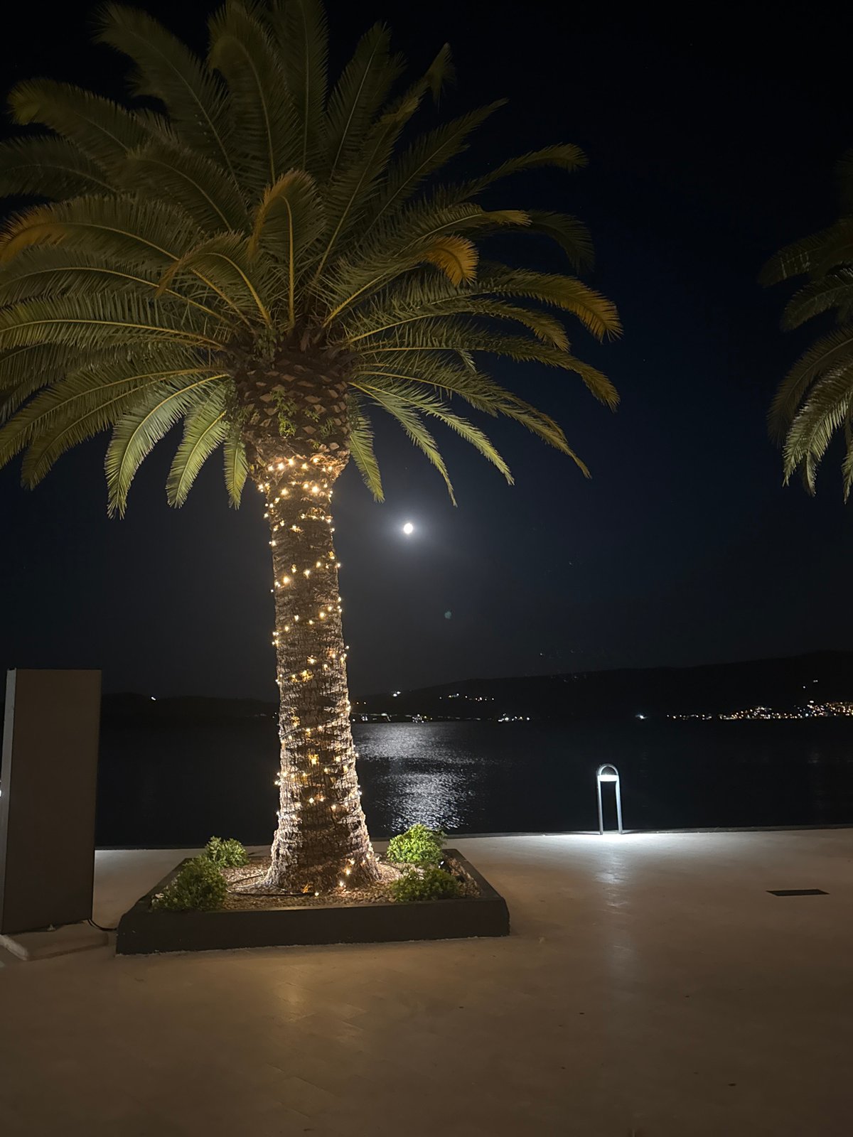 Nighttime details from a Tivat evening in Montenegro