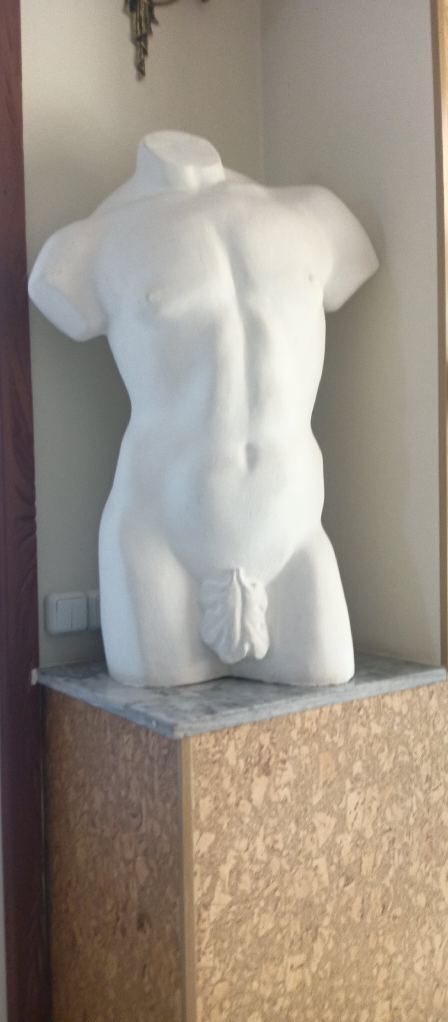 Classical male torso statue fragment observed on marble pedestal