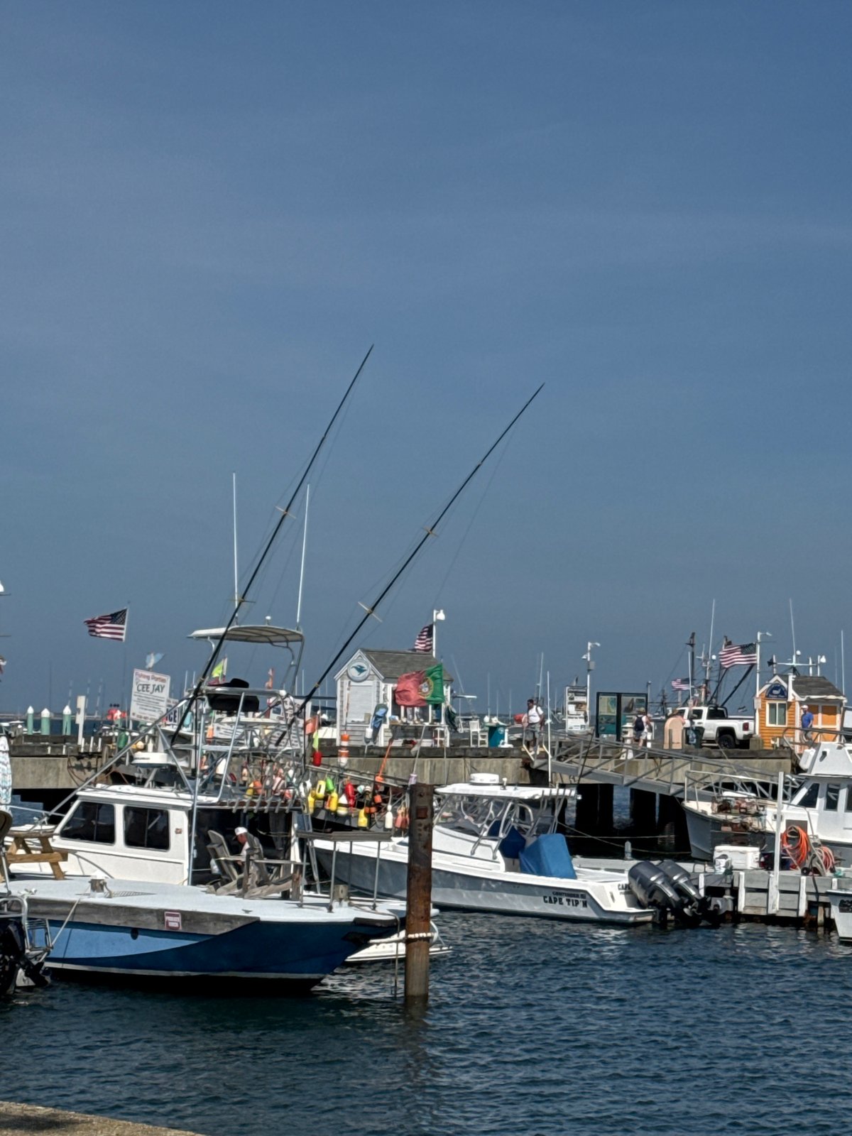 Sunny afternoon at Provincetown's busy harbor waterfront