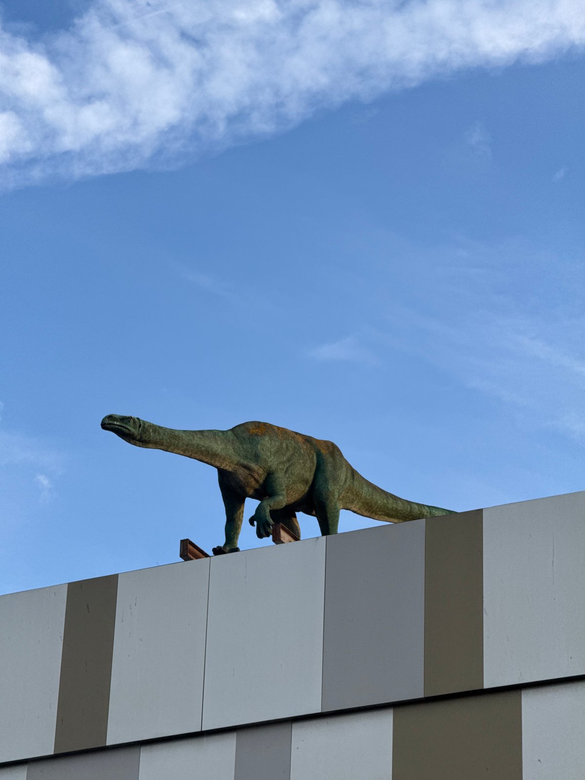 Nighttime amusement area with dinosaur statue documented in Burgas
