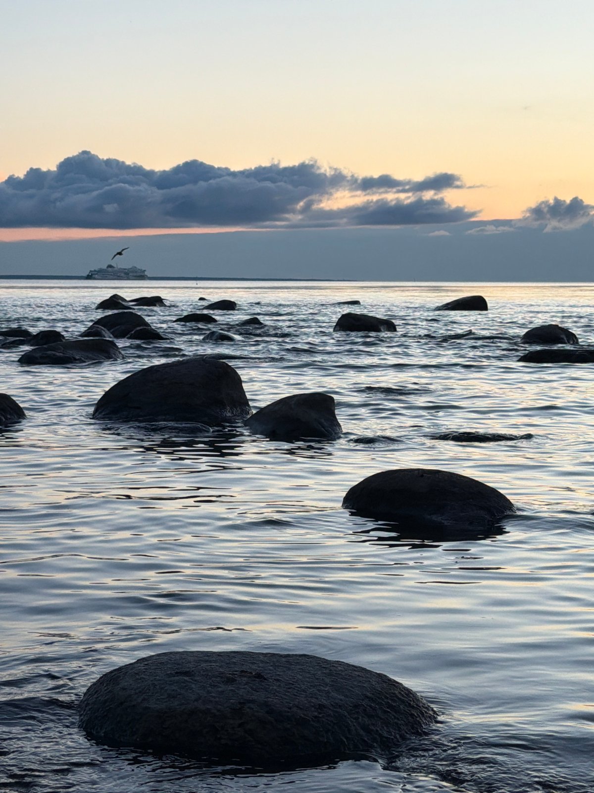 Baltic sunset at Haabneeme with spotting scope and ferries on horizon