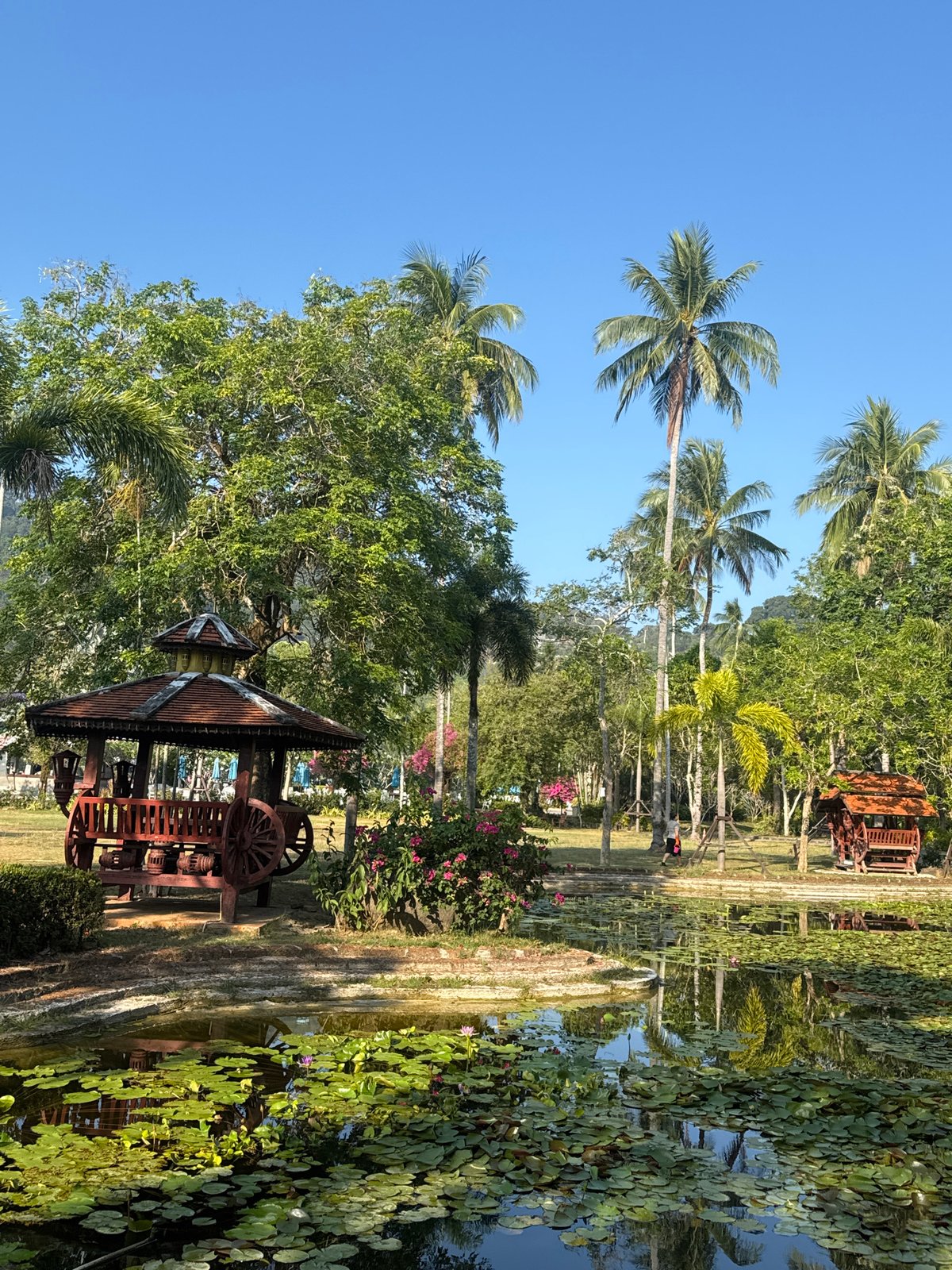 Nighttime stroll captured in tranquil Patong park setting