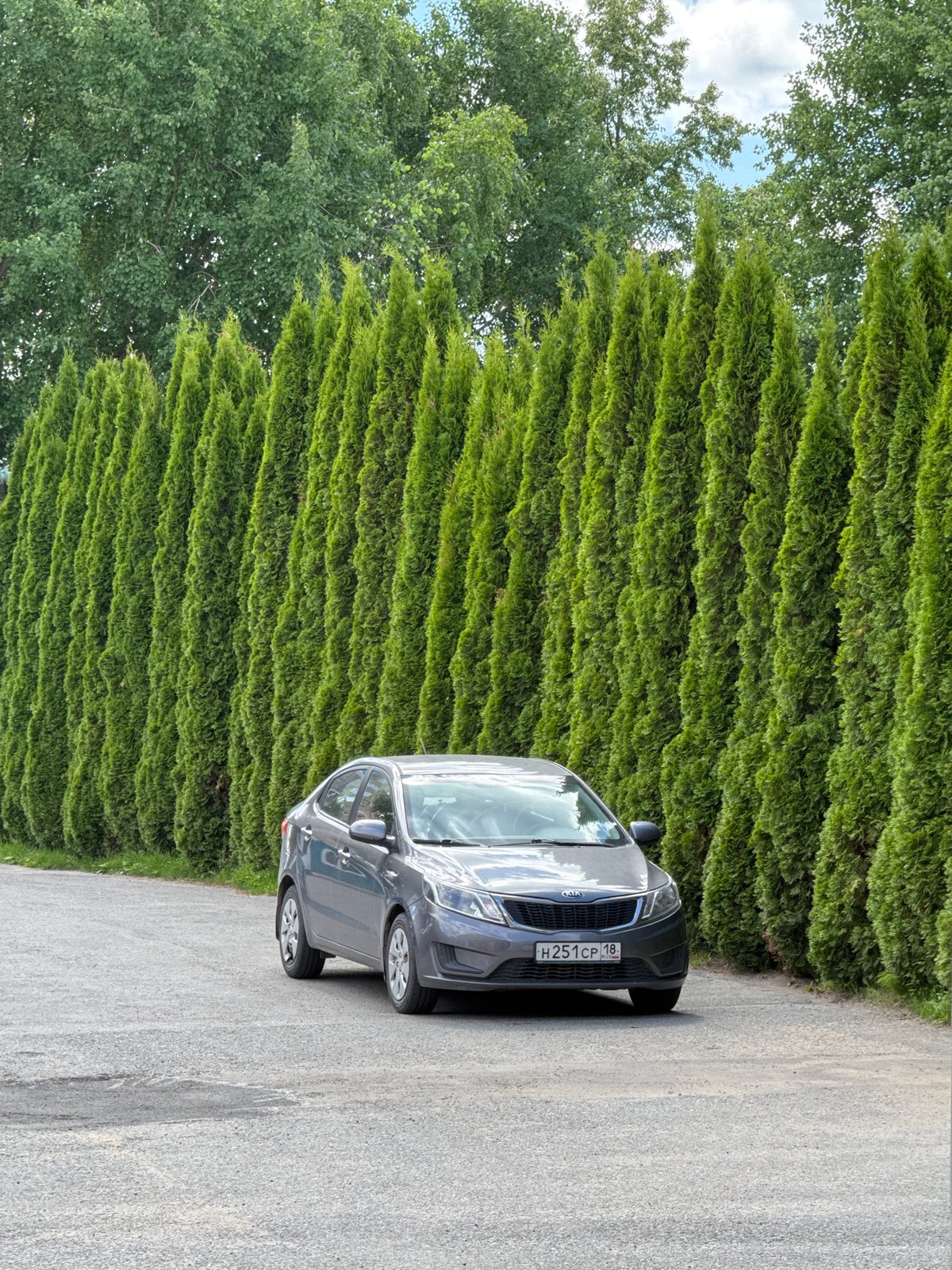 Gray Kia sedan parked near evergreen hedge in Izhevsk