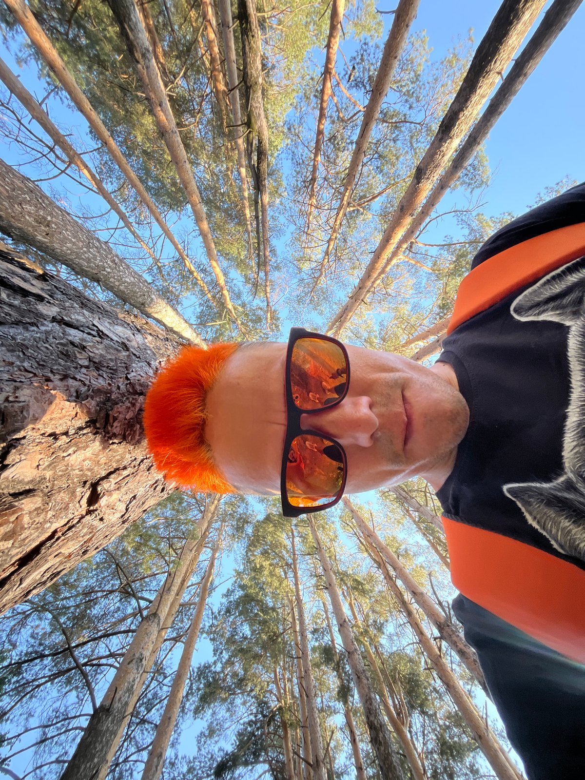 Orange-haired person photographed in Russian pine forest, Chaikovsky
