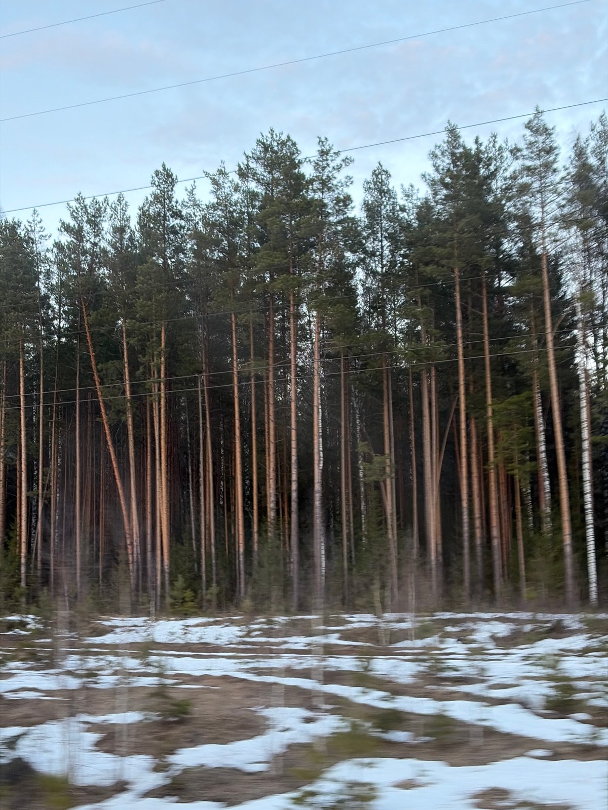Forest and cloud formations observed in Novyi, Russia