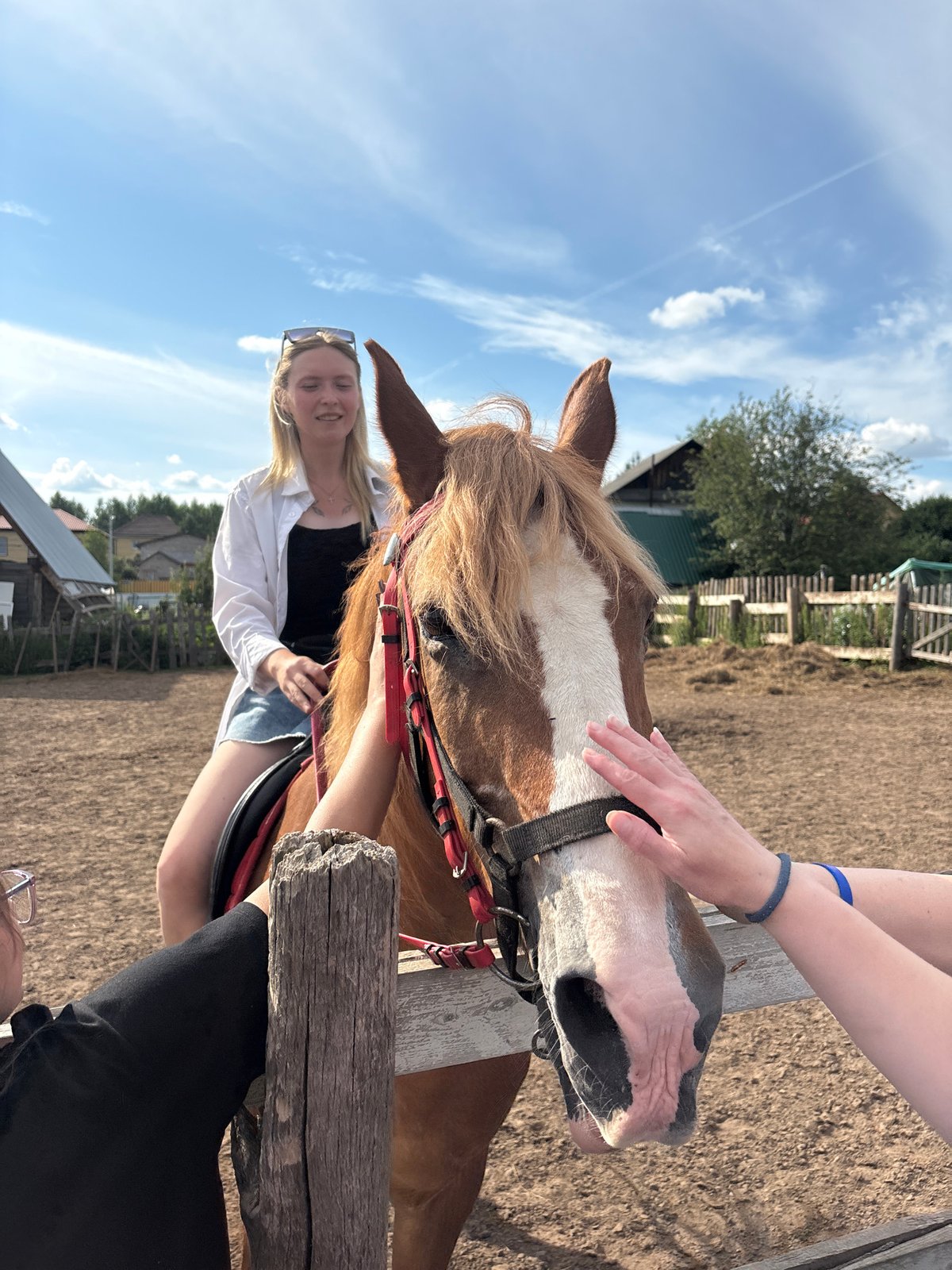Horseback riding on a sunny afternoon outside Perm, Russia