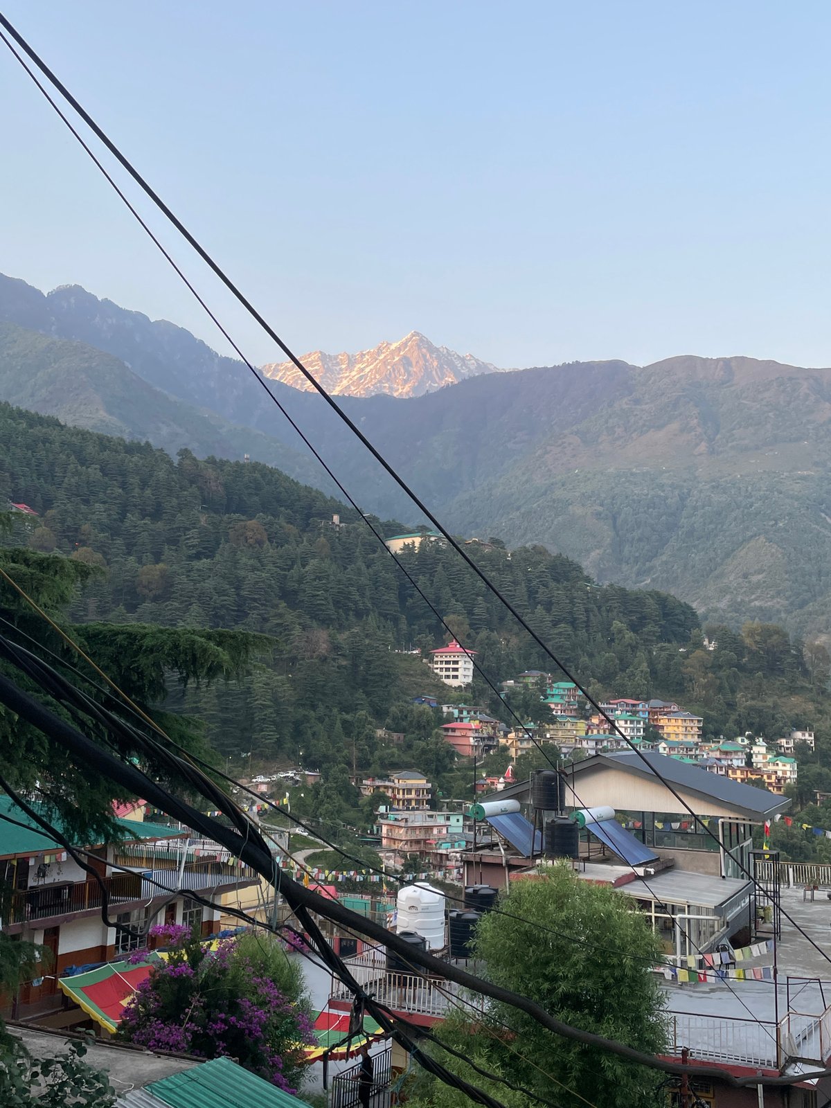 Dharamshala valley views and local bookstore captured by observer