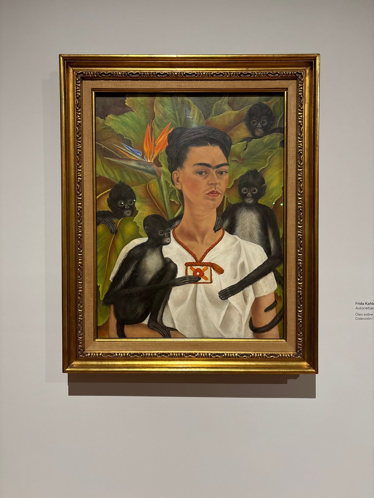 Museum visitors document Frida Kahlo artwork in Mexico City