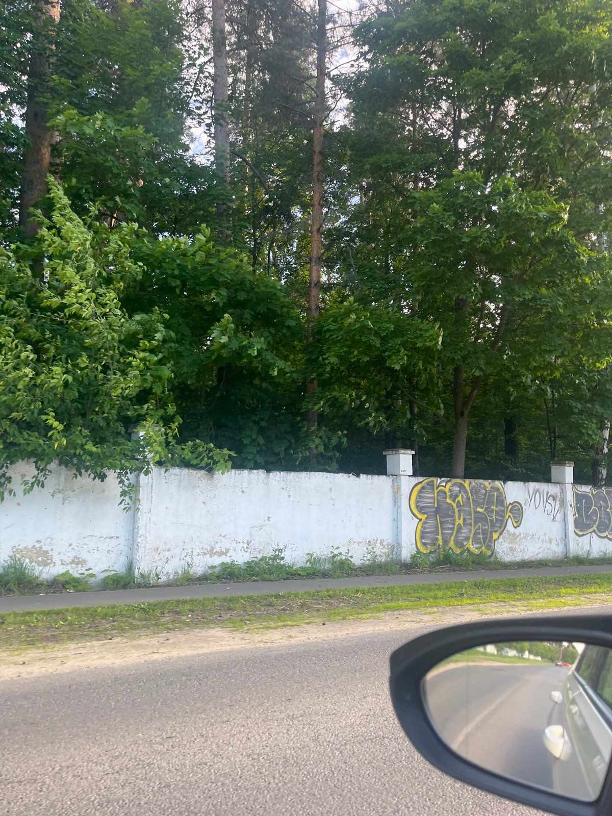 Graffitied fence spotted amid greenery in Vasilyevo, Russia