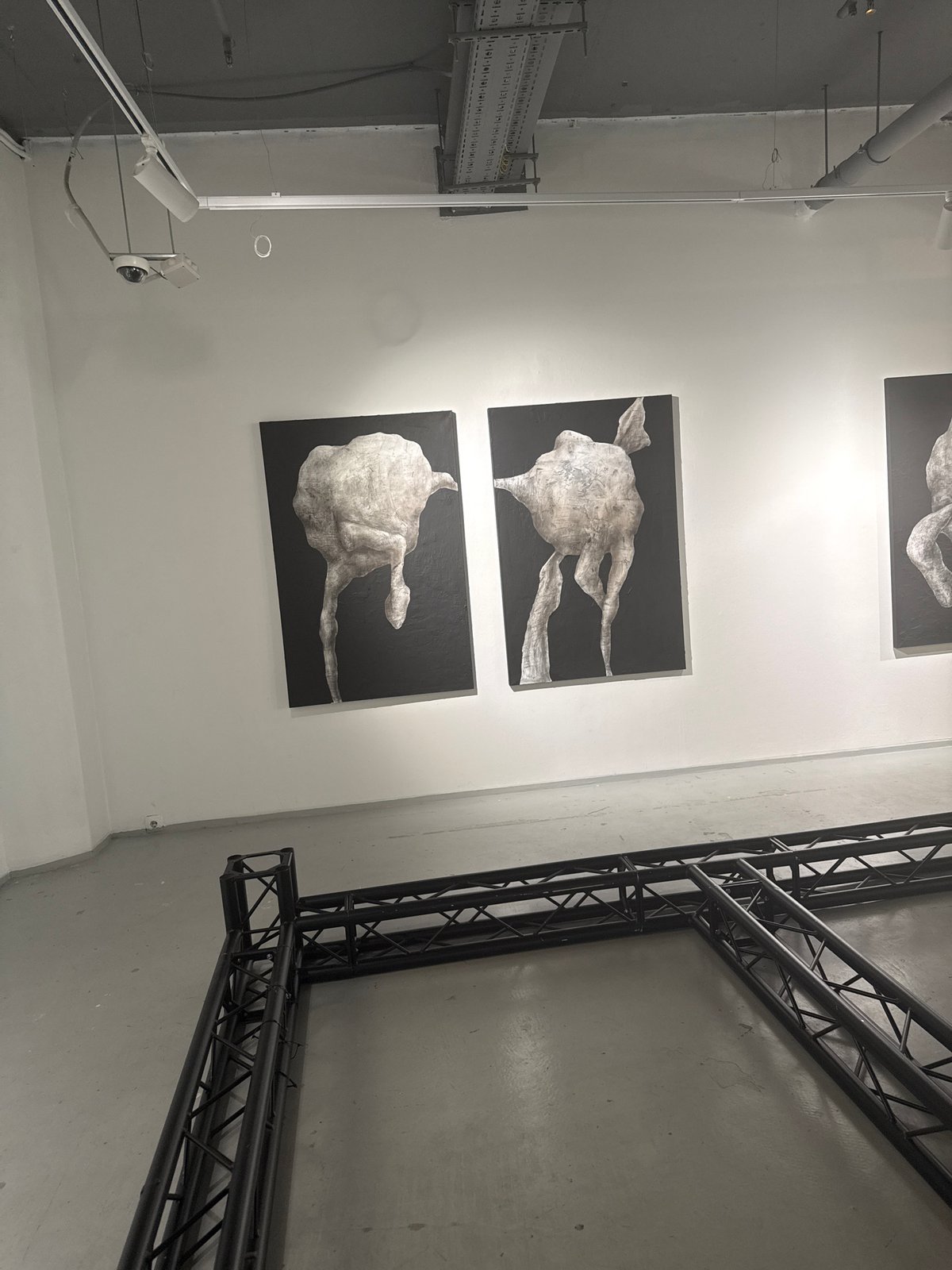 Abstract art display observed in minimalist gallery space